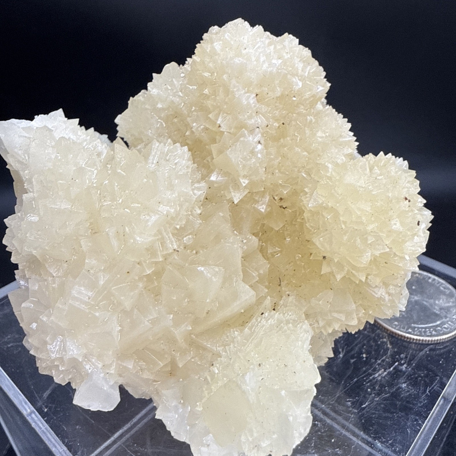 Natural Phosphorescent Honey Dogtooth Calcite Specimen!Amazing Formation! UV👀