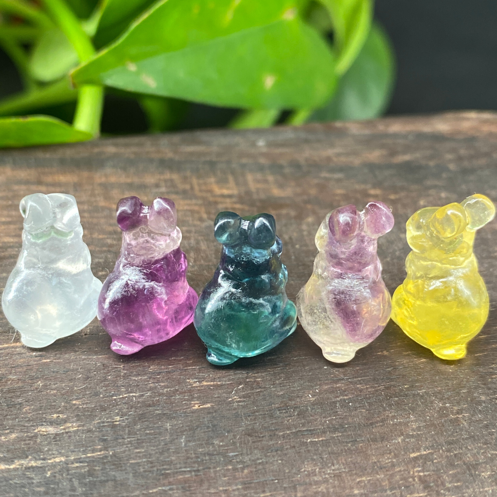 5pc Natural fluorite carved mini rabbit quartz crystal reiki healing