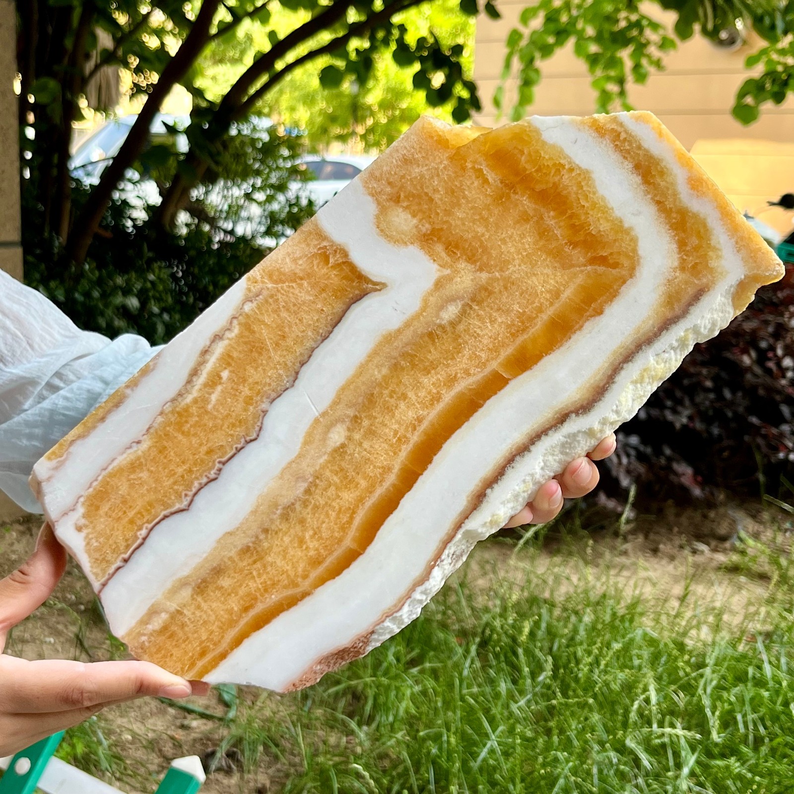 3.3 lb Yellow Calcite Crystal Polished Double Sided Slice Natural Specimen