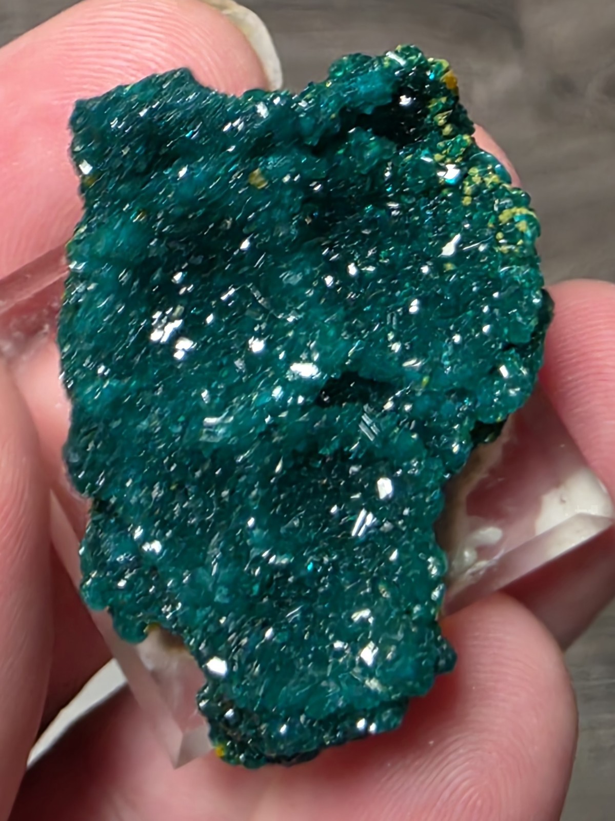 DIOPTASE w/ Wulfinite Crystal Mineral Specimen Cluster Green CONGO AFRICA 4.5 cm