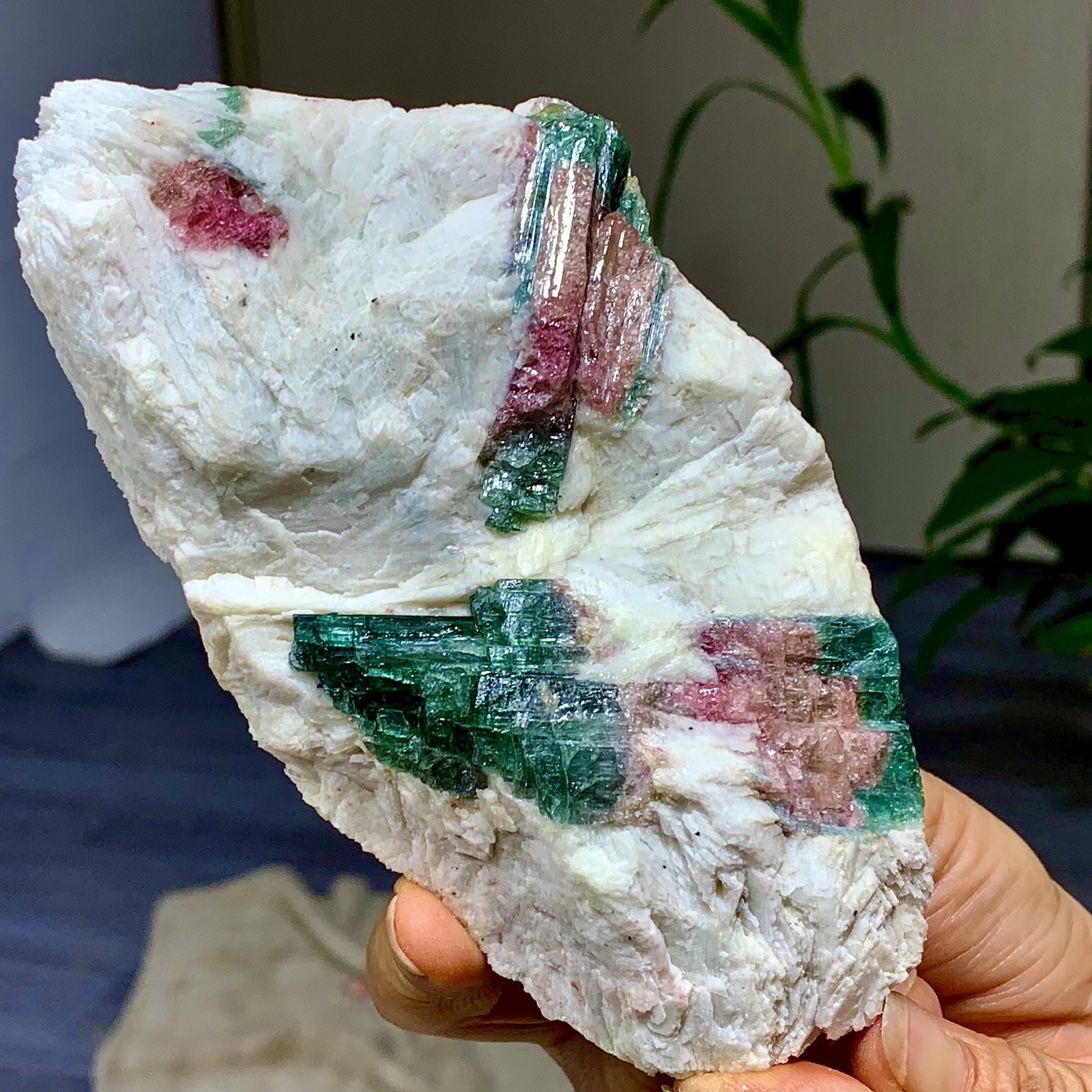 449G Natural pink-green tourmaline quartz crystal cluster mineral specimen