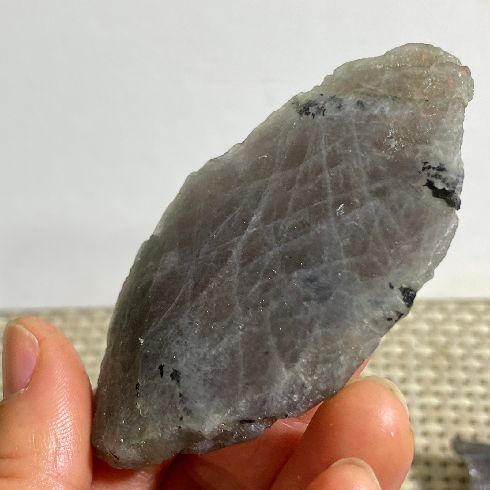 Rare Flashy Labradorite Slab Crystal Rough Gemstone Raw Labradorite Rough 45g