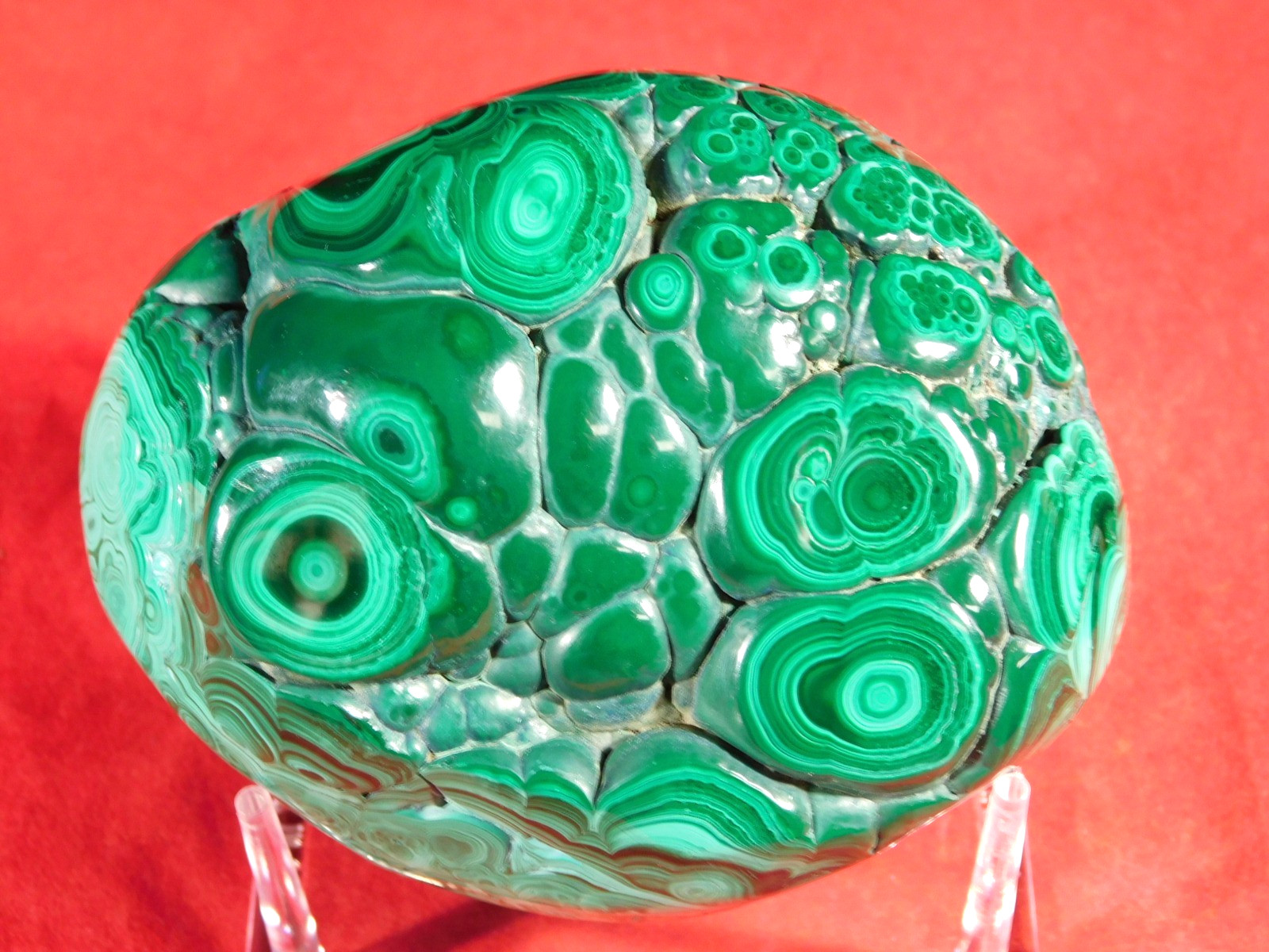 BIG! Polished Deep GREEN Malachite STALACTITE or Stalagmite w/Stand Congo 603gr
