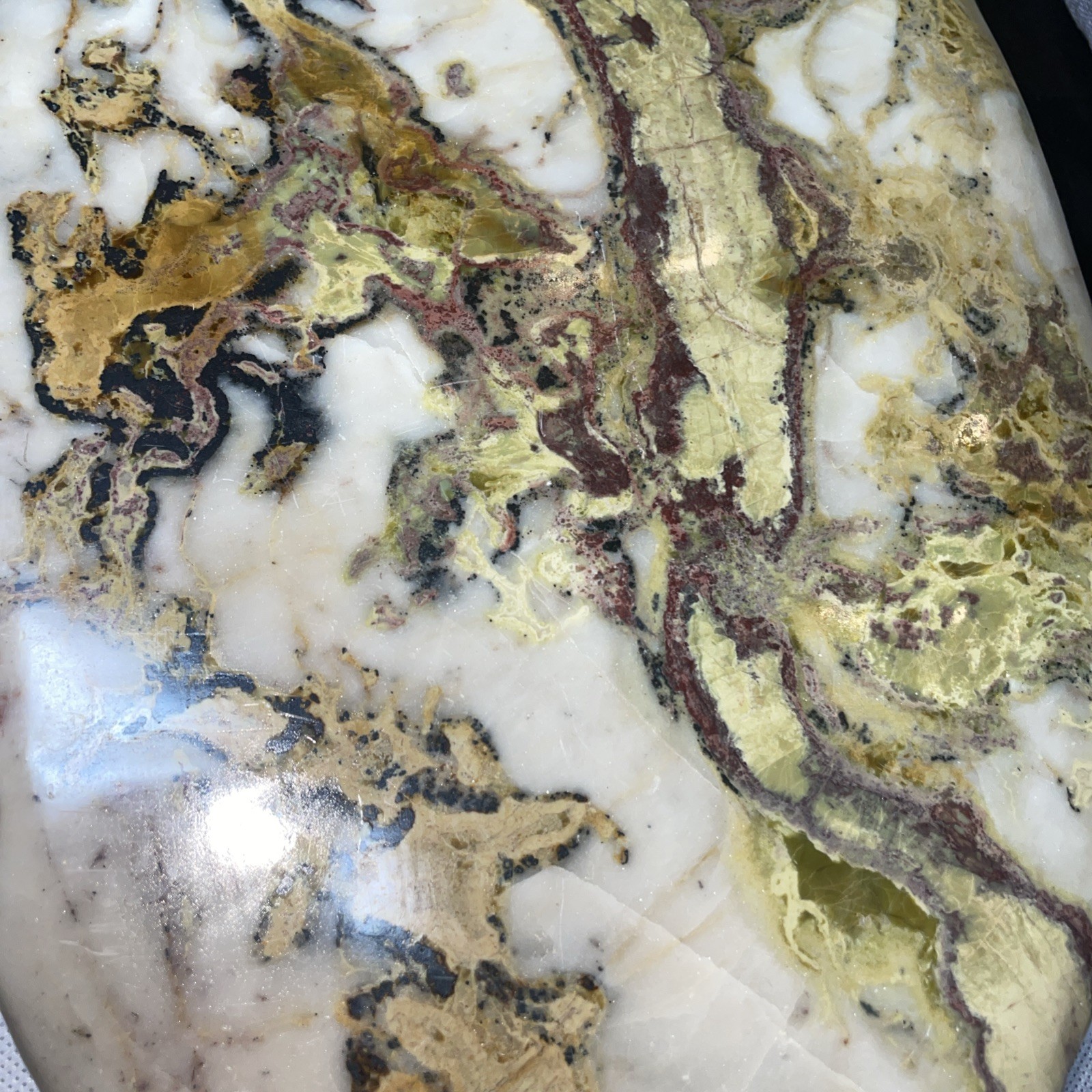 King Cobra Jasper. 8 Lbs & 12.7 Ounces