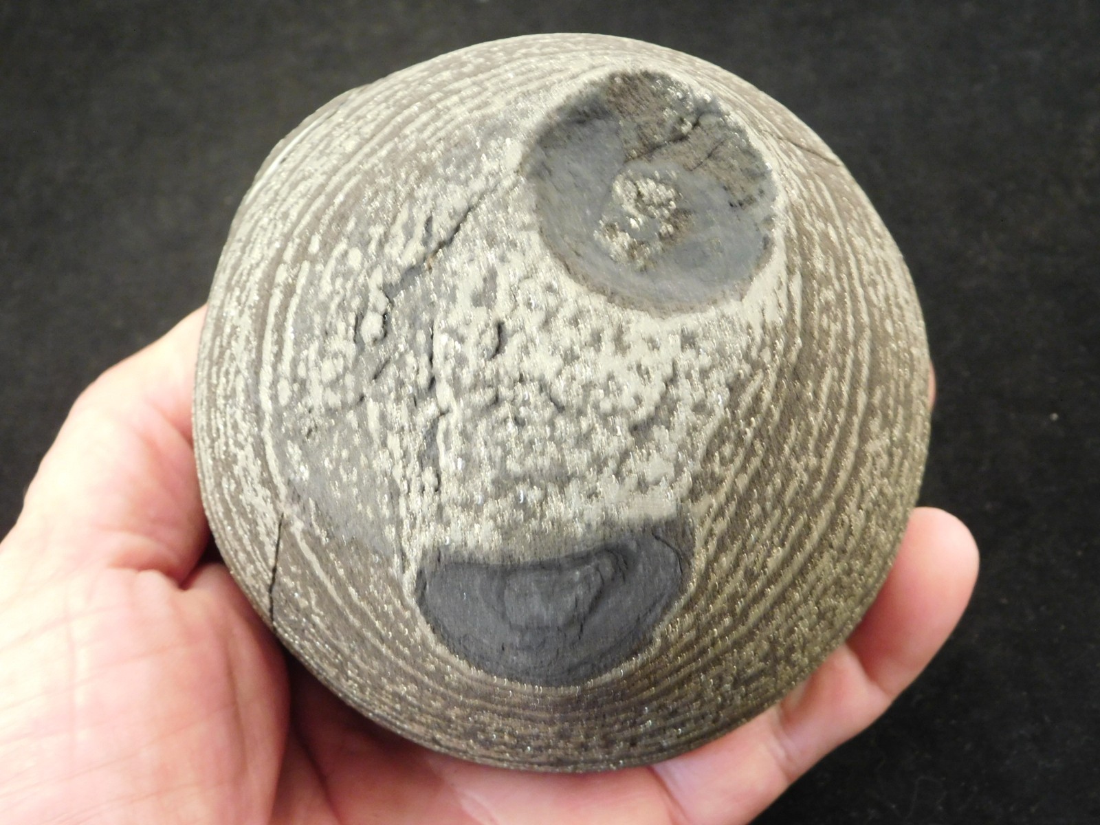 BIG! 100% Natural Ringed PYRITE Concretion From China! With Stand 1241gr