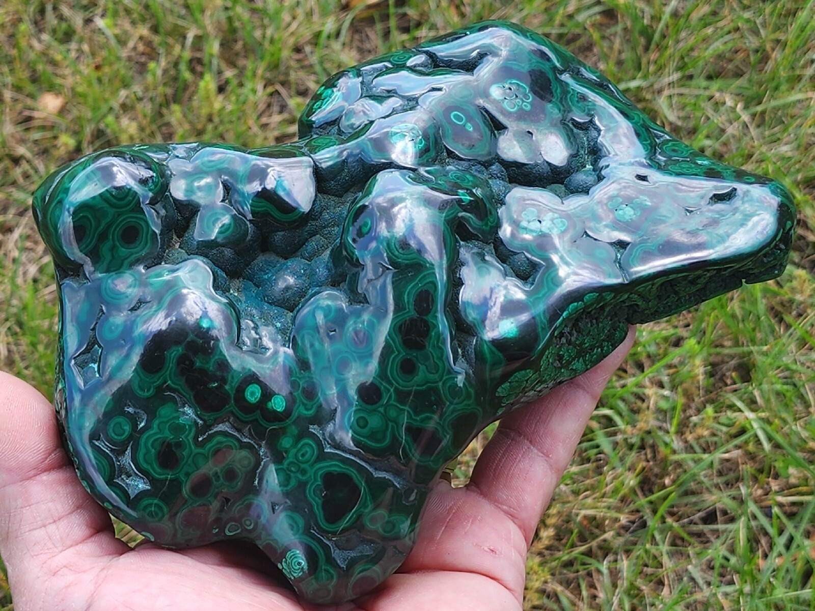 GORGEOUS,LG POLISHED MALACHITE,CONGO