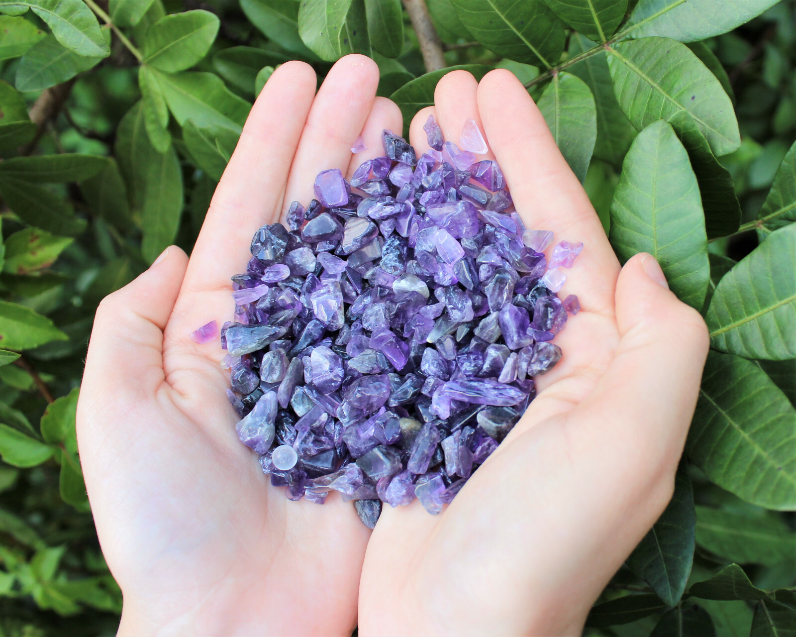 Amethyst Semi Tumbled Gemstone Mini Chips 5-15 mm, ‘A’ Grade Wholesale Bulk Lots