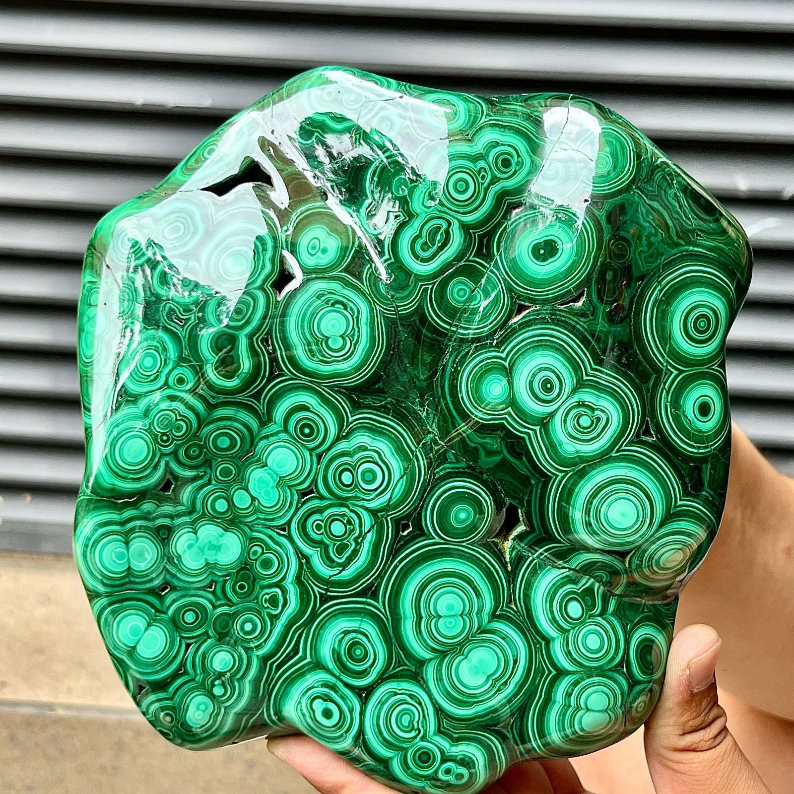 Natural Malachite Stone Polished Slab Bull Eye Pattern Display Decor 7.1 lb