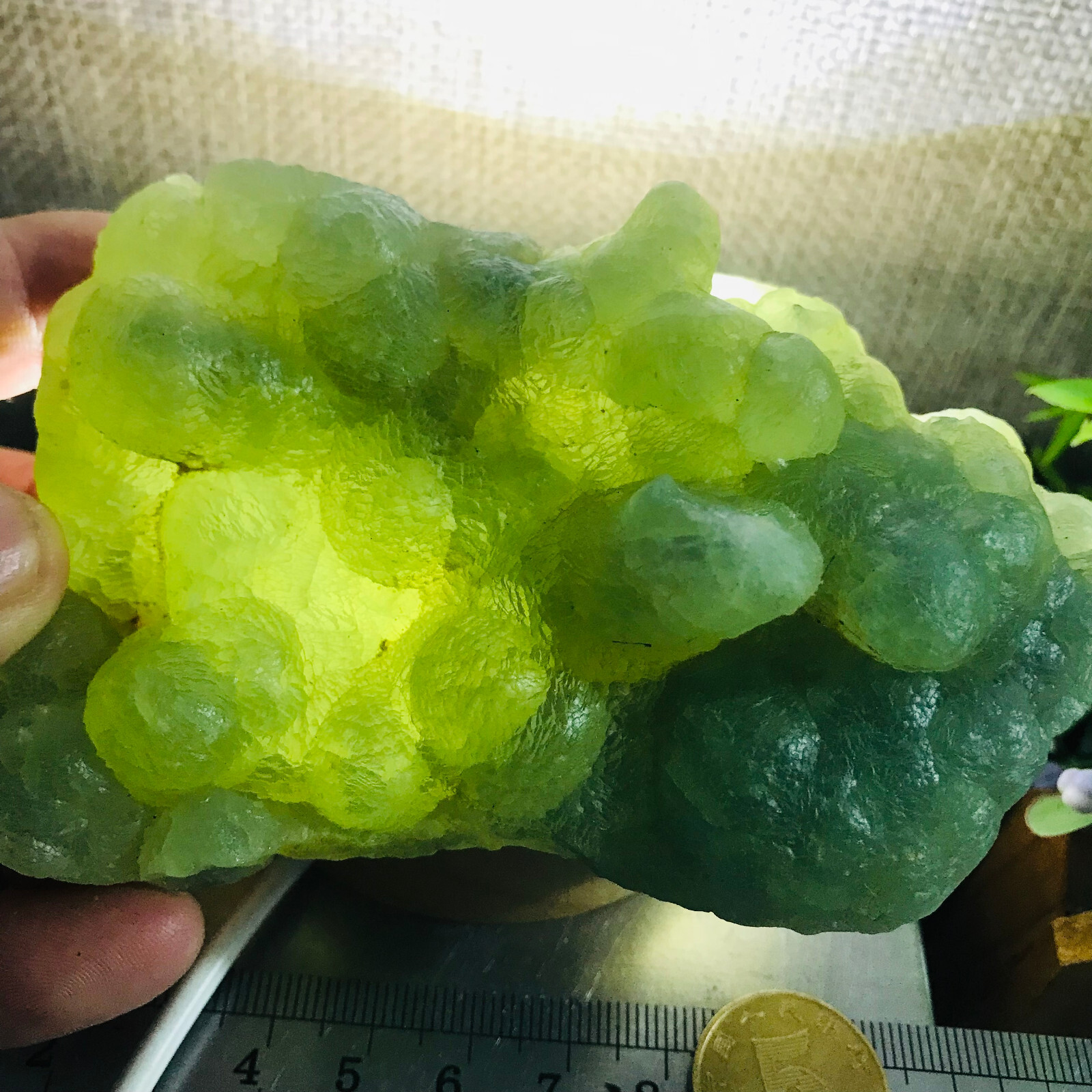 265g Natural Green chalcedony grape agate crystal specimen Indonesia 05
