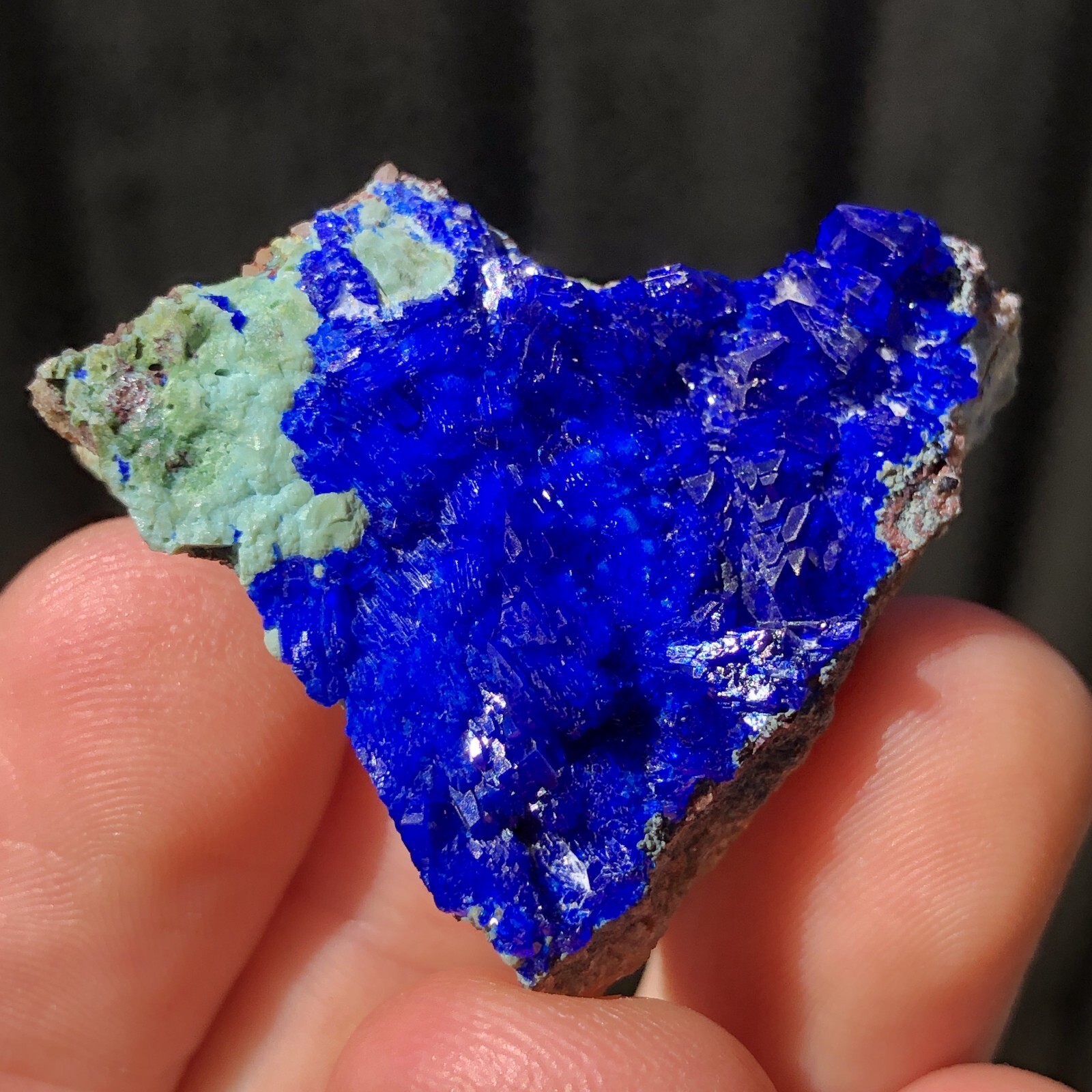 3.5cm Linarite Crystals with Chrysocolla from Grand Reef Mine, Arizona, USA