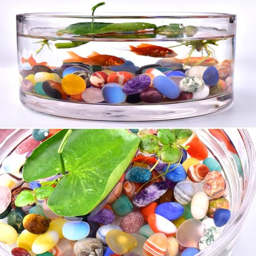 Polished Healing Crystal Stone Set, 72 Pcs Handpicked Tumbled 0.5″ Multicolor