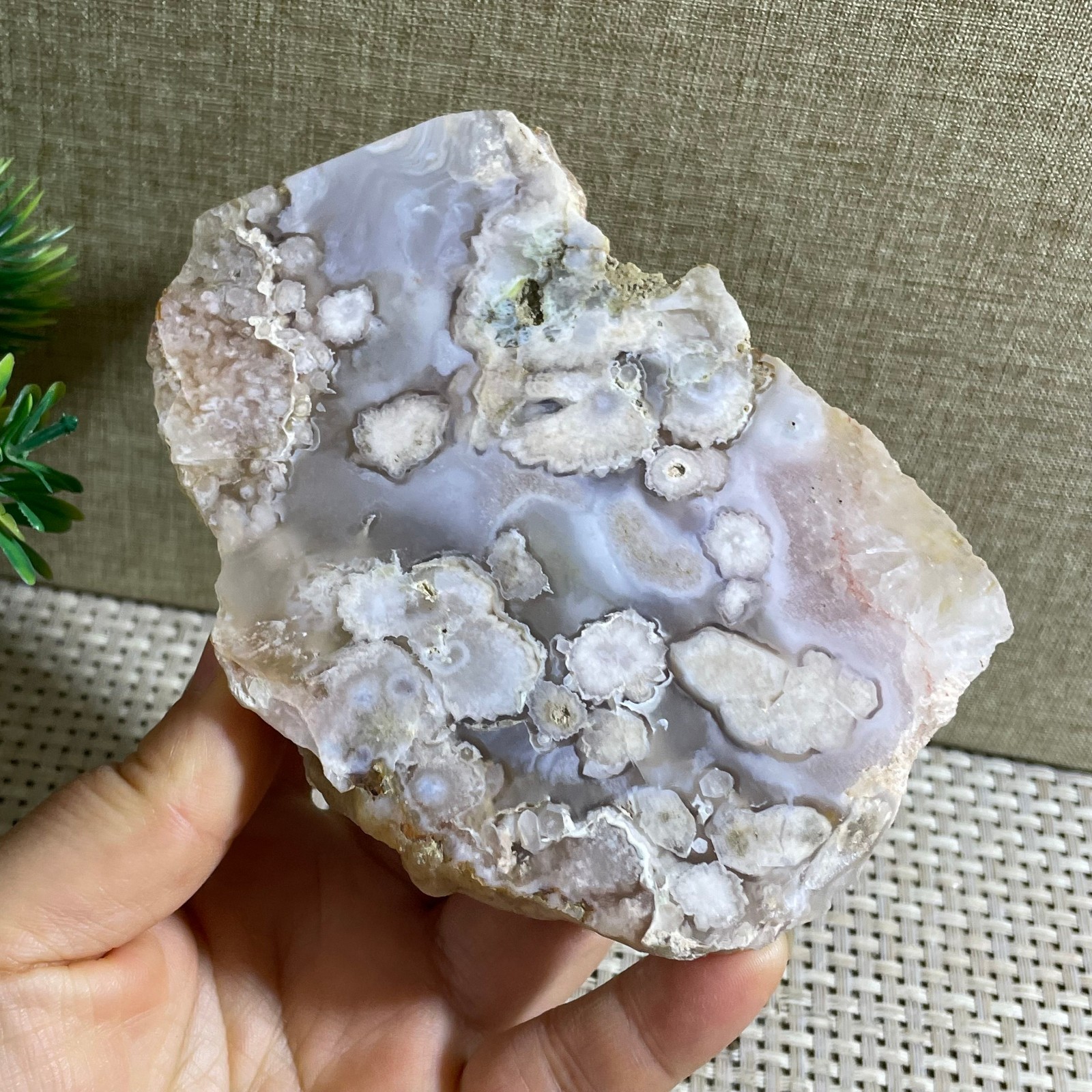 Sakura Agate Blossom Facet Rough Specimen Madagascar 310g g18