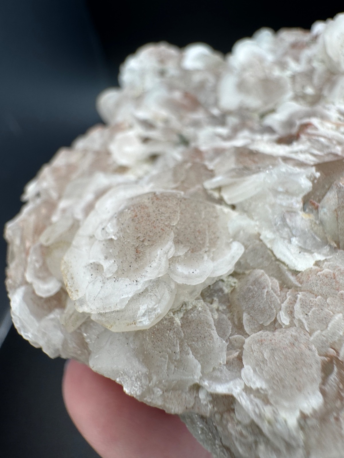 6342 Pink Petal Coin Calcite with Green Mica and FABULOUS UV 140g Fu Jian