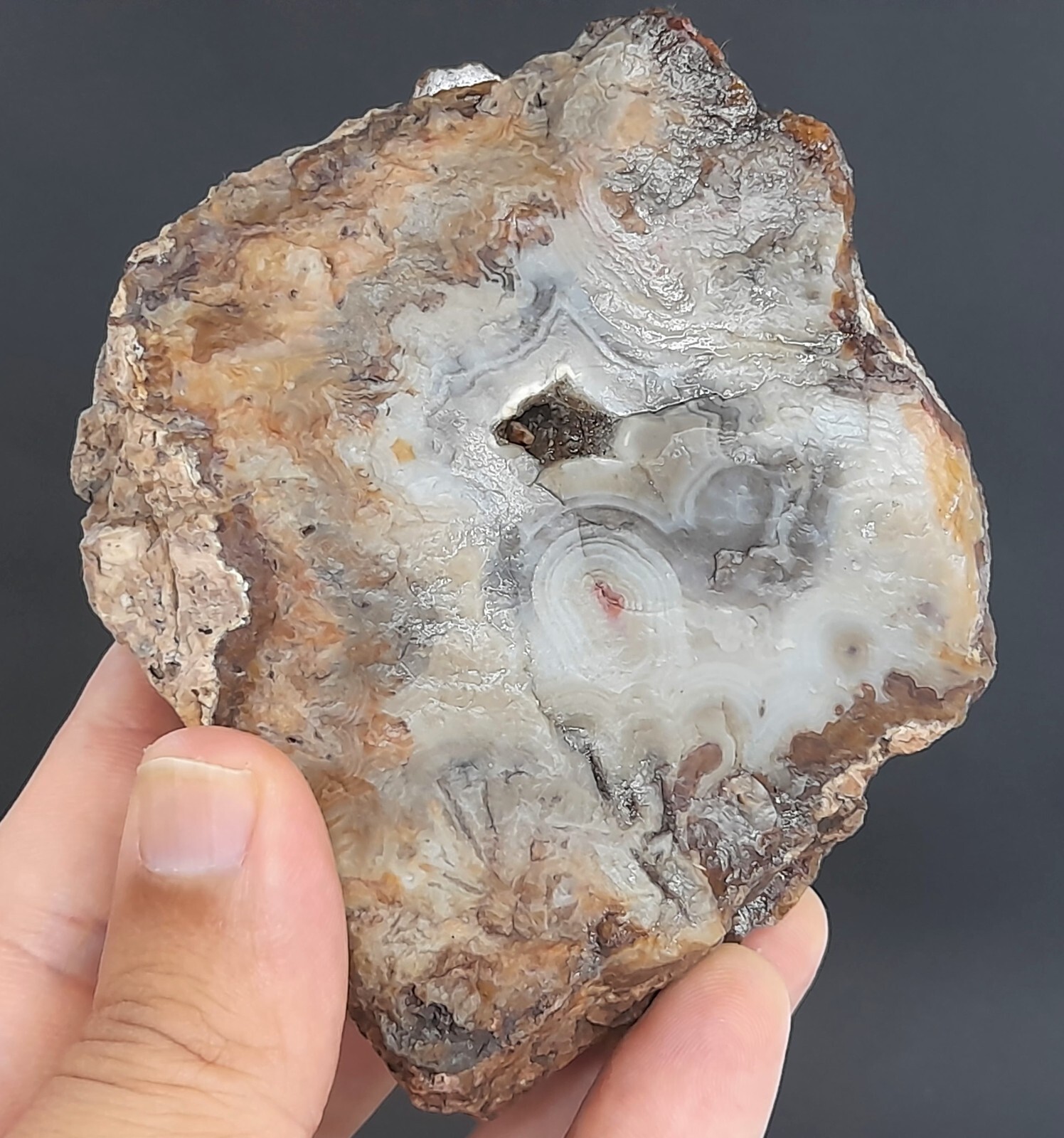 395g/0.87 lb Turkish banded agate stone rough, customs duty included