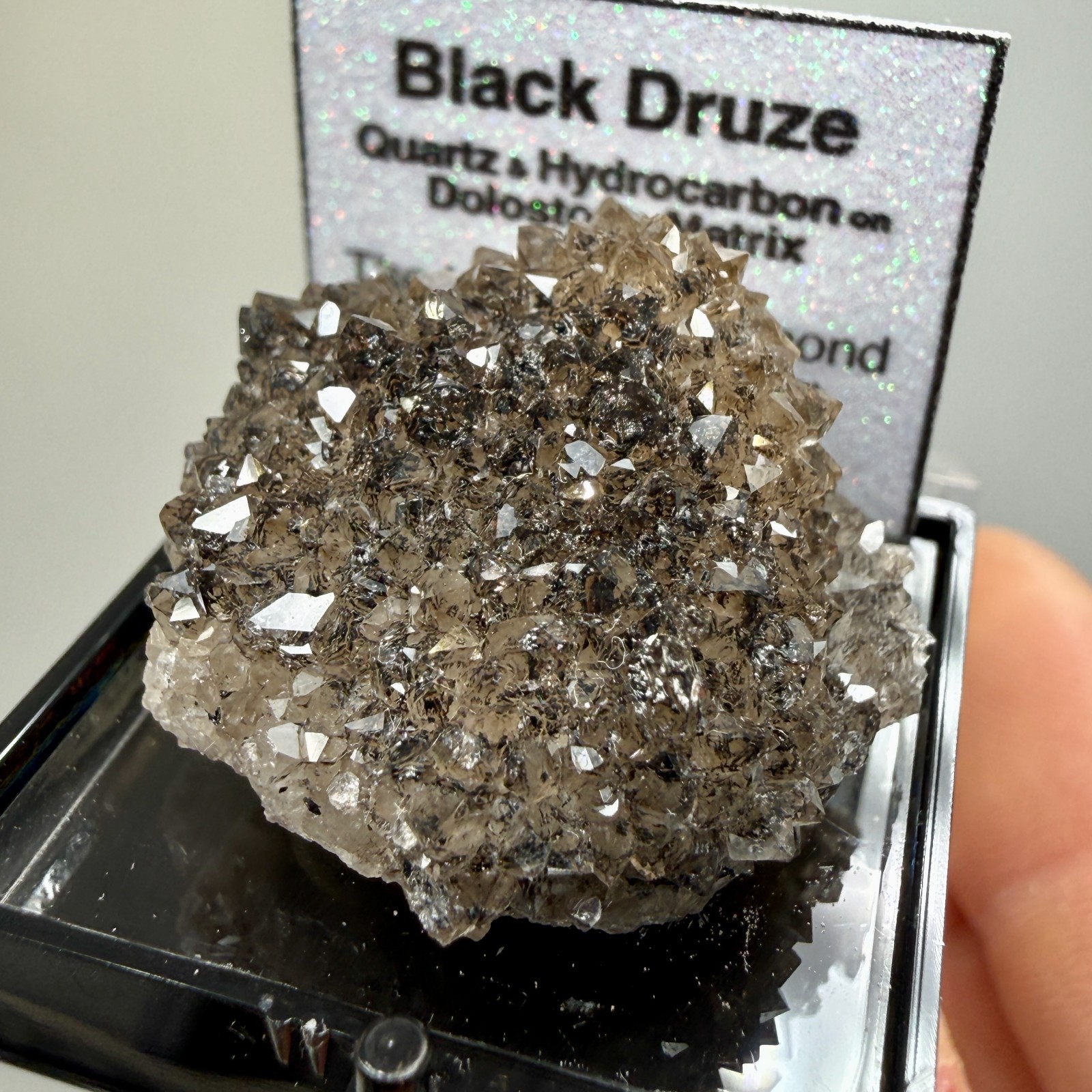 Herkimer Diamond Black + Gray Druze, Gemmy Points w/ Hydrocarbon, Rare Matrix