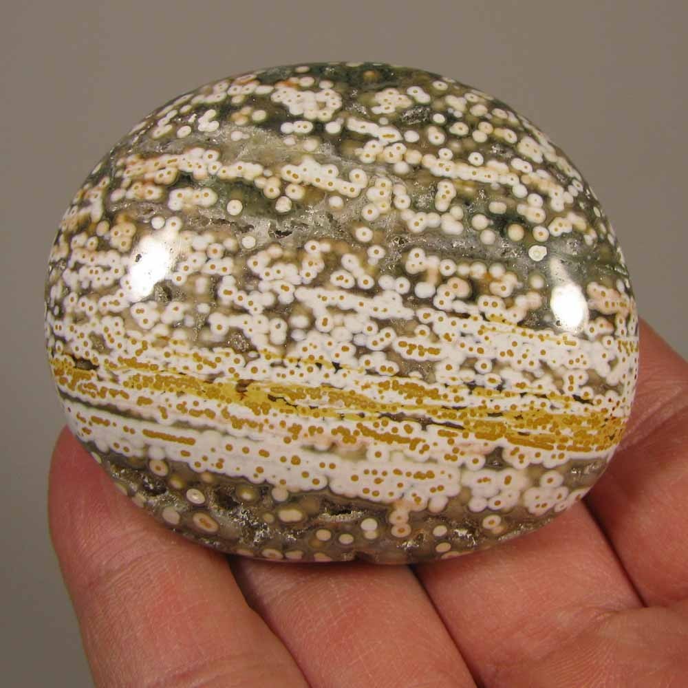 2.4″ OCEAN JASPER Polished Palm Stone Healing – Madagascar
