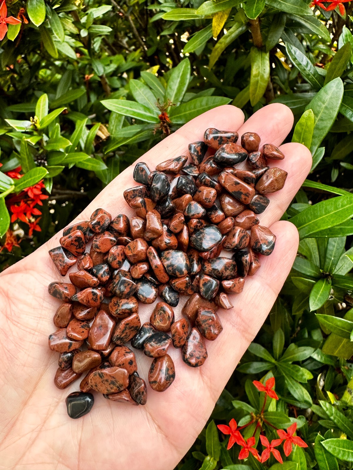 Grade A++Mahogany Obsidian Semi Tumbled Gemstone Mini Chips 5-12mm,Wholesale Lot
