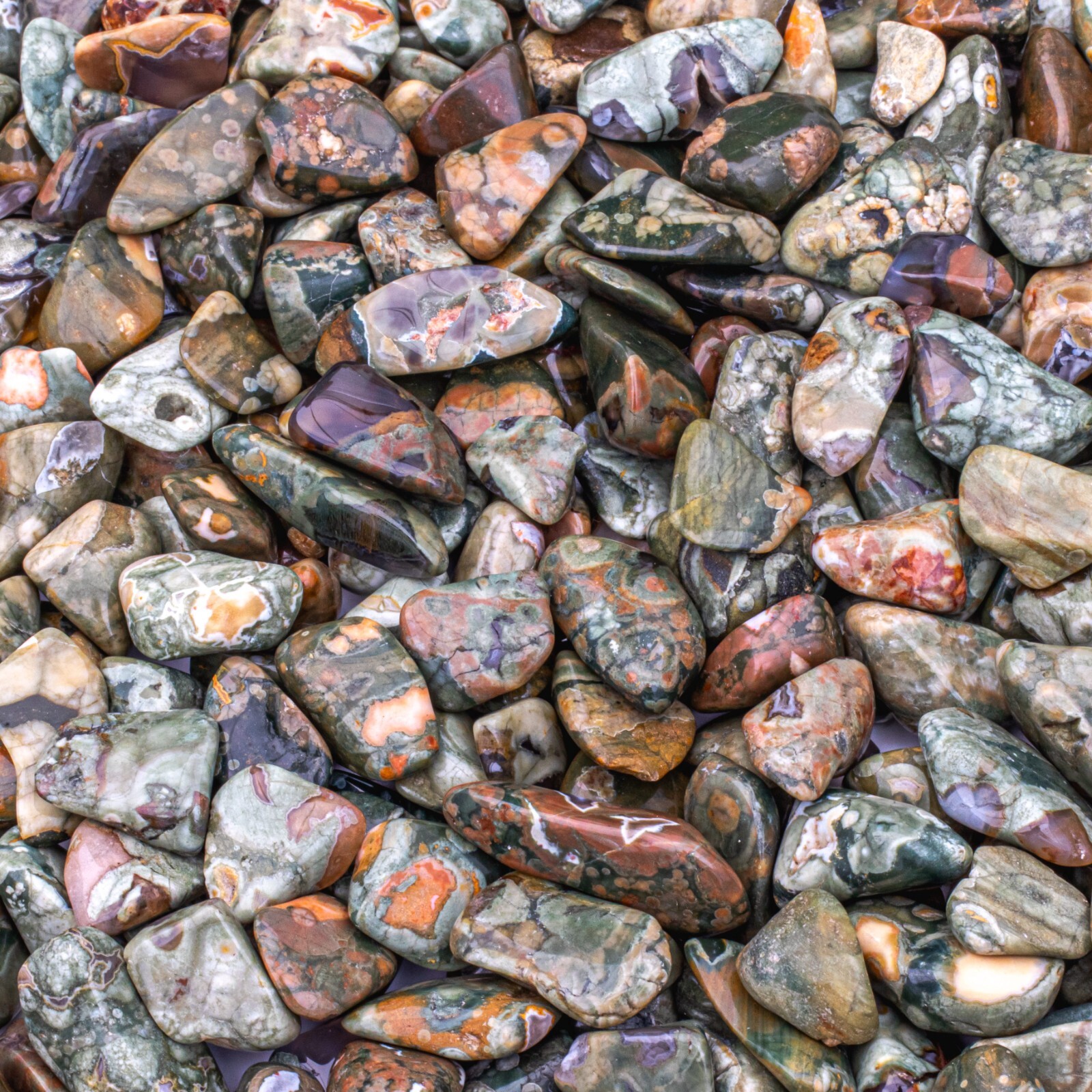 25 Grams Tumbled Rainforest Rhyolite Jasper Gemstone Crystals 10-25 Stones Bulk
