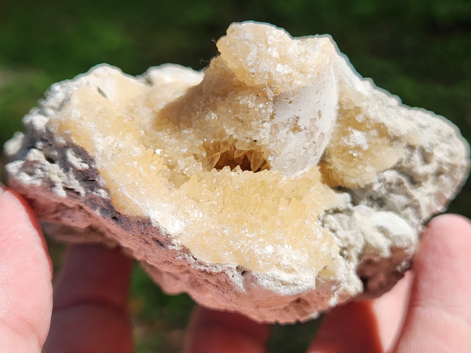 SET OF 3 Calcite CRYSTAL WHELK Shells Fossil Rucks Pit Florida dogtooth LOT