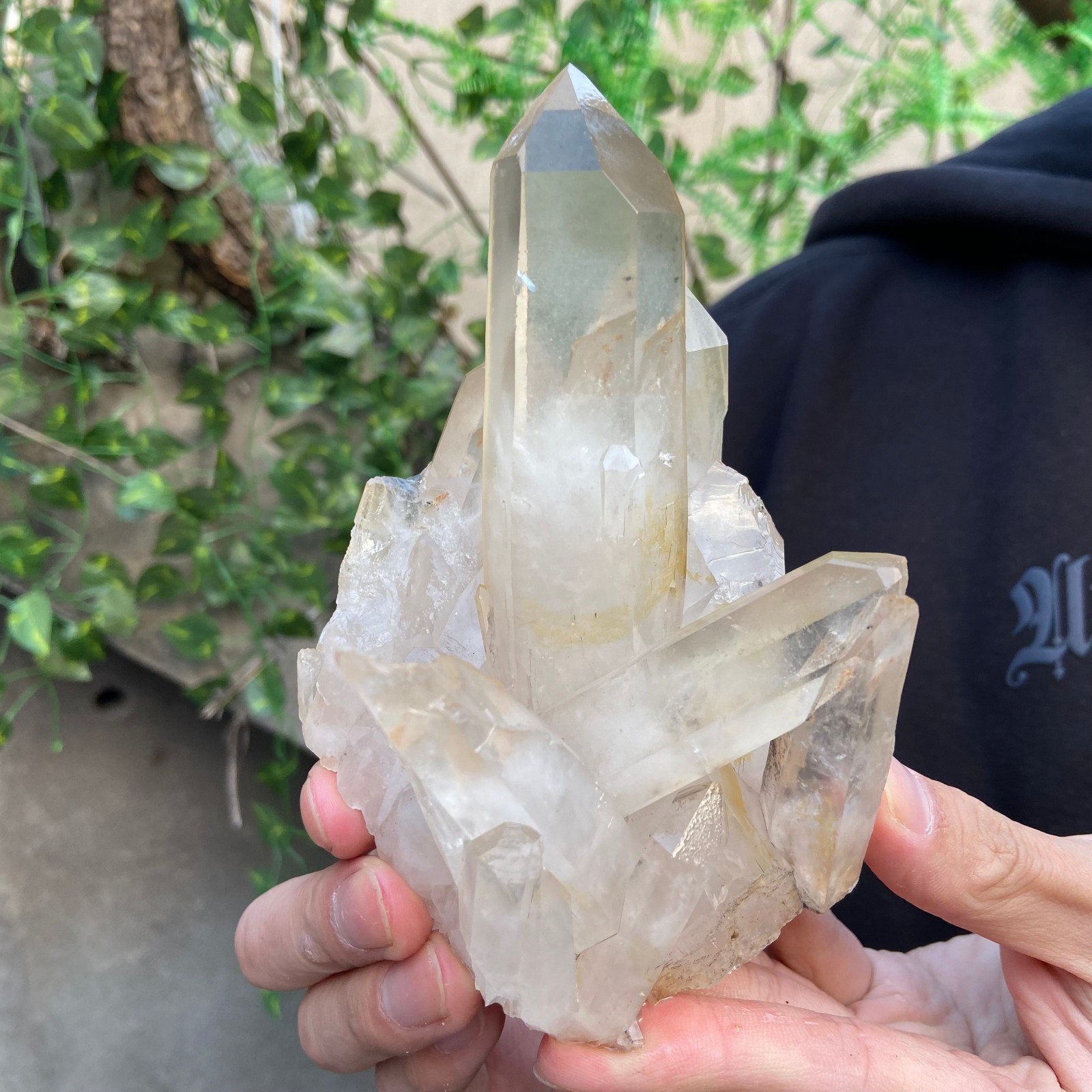 1.5lb Natural Clear White Quartz Crystal Cluster Rough Healing Specimen