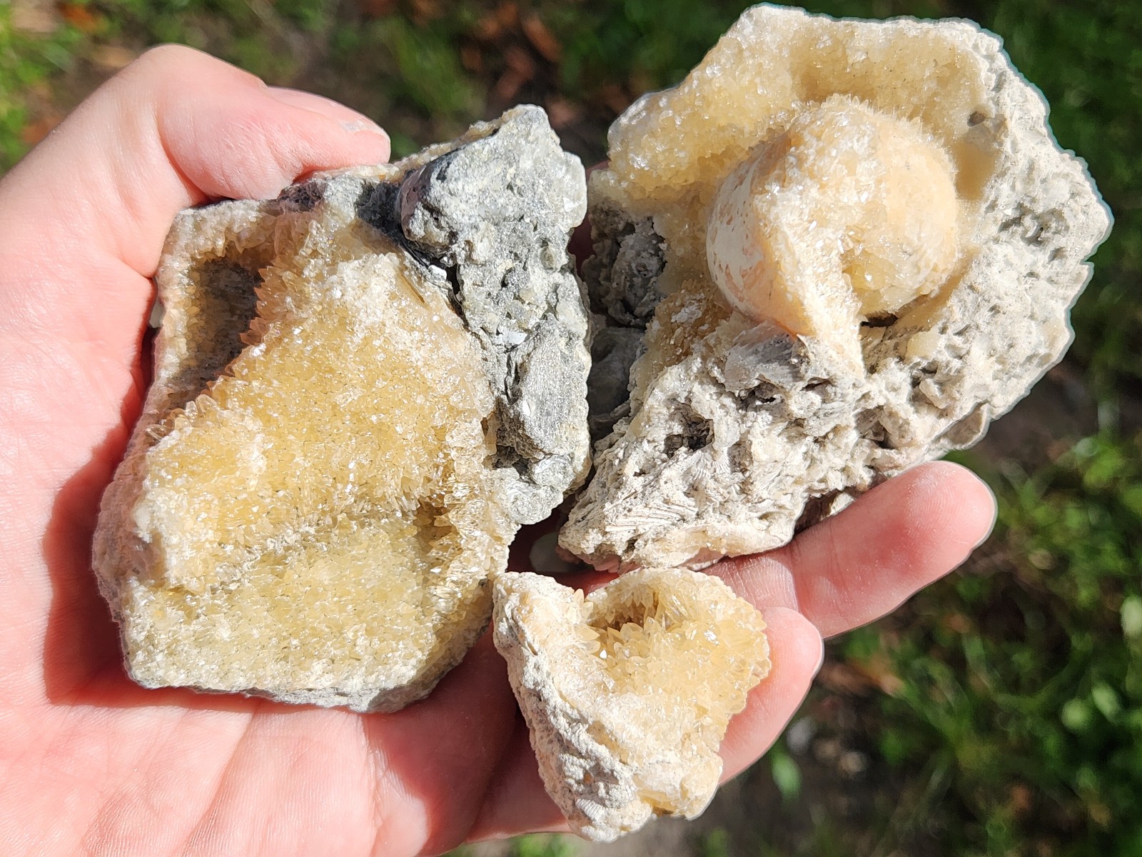 SET OF 3 Calcite CRYSTAL WHELK Shells Fossil Rucks Pit Florida dogtooth LOT
