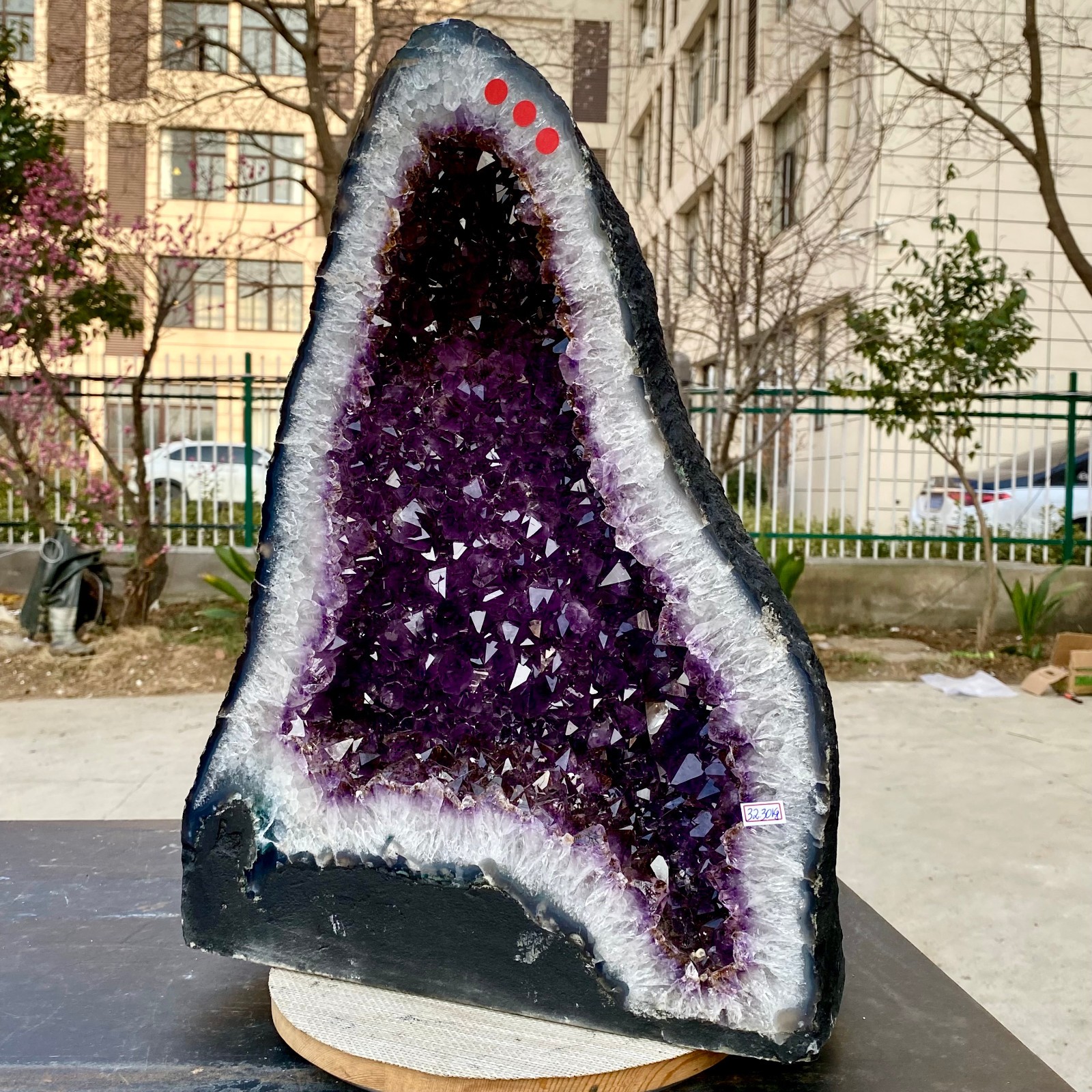 71LB Natural Amethyst Geode Quartz Crystal Cluster Cathedral Energy healing