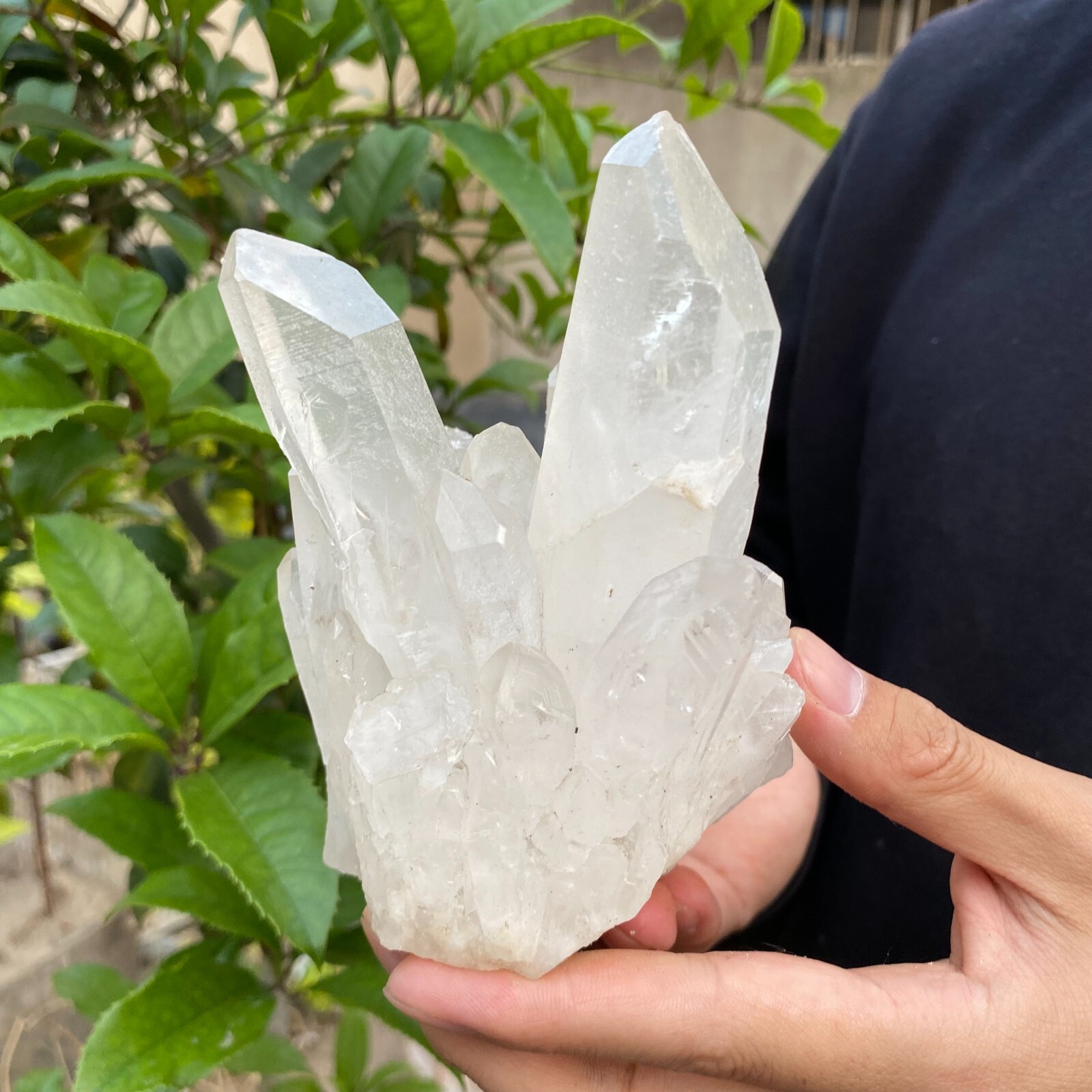 2.4lb Natural Clear White quart Crystal Cluster Raw Healing Specimen