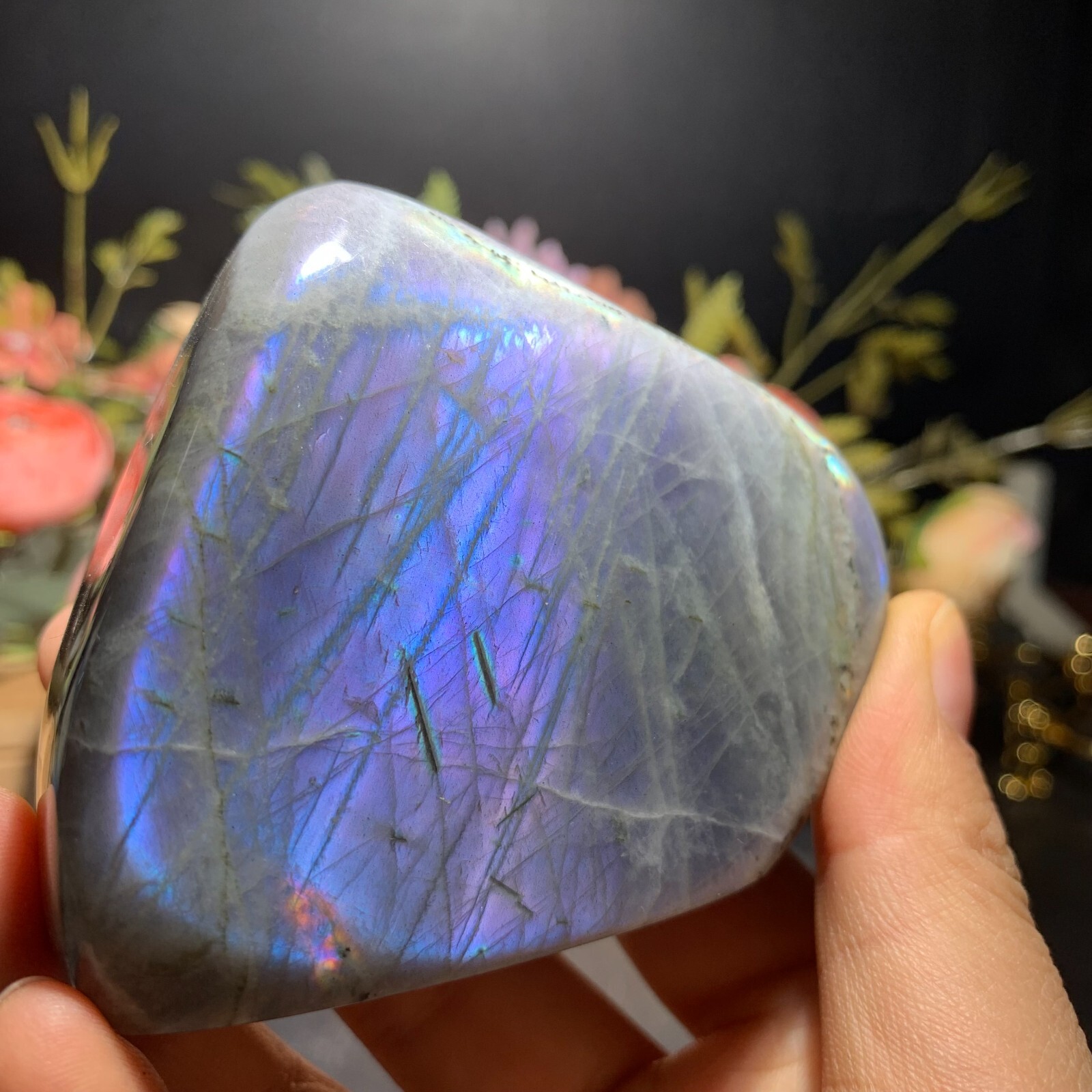 290g Natural Purple Labradorite Free Form Ornament Crystal Quartz Reiki 62mm