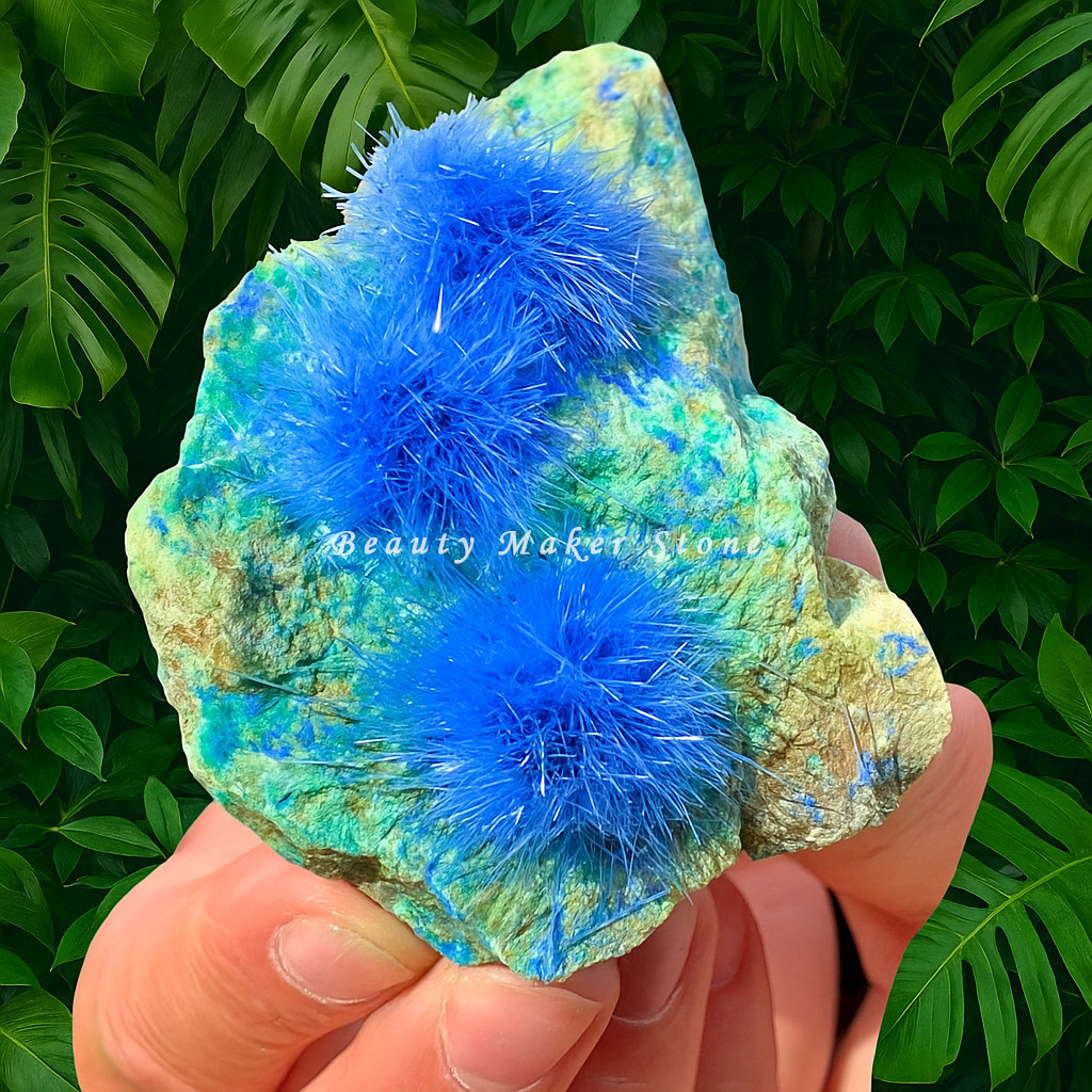 50-80G Rare Dandelion zeolite Quartz Crystal Cluster Mineral Rock Specimen Decor