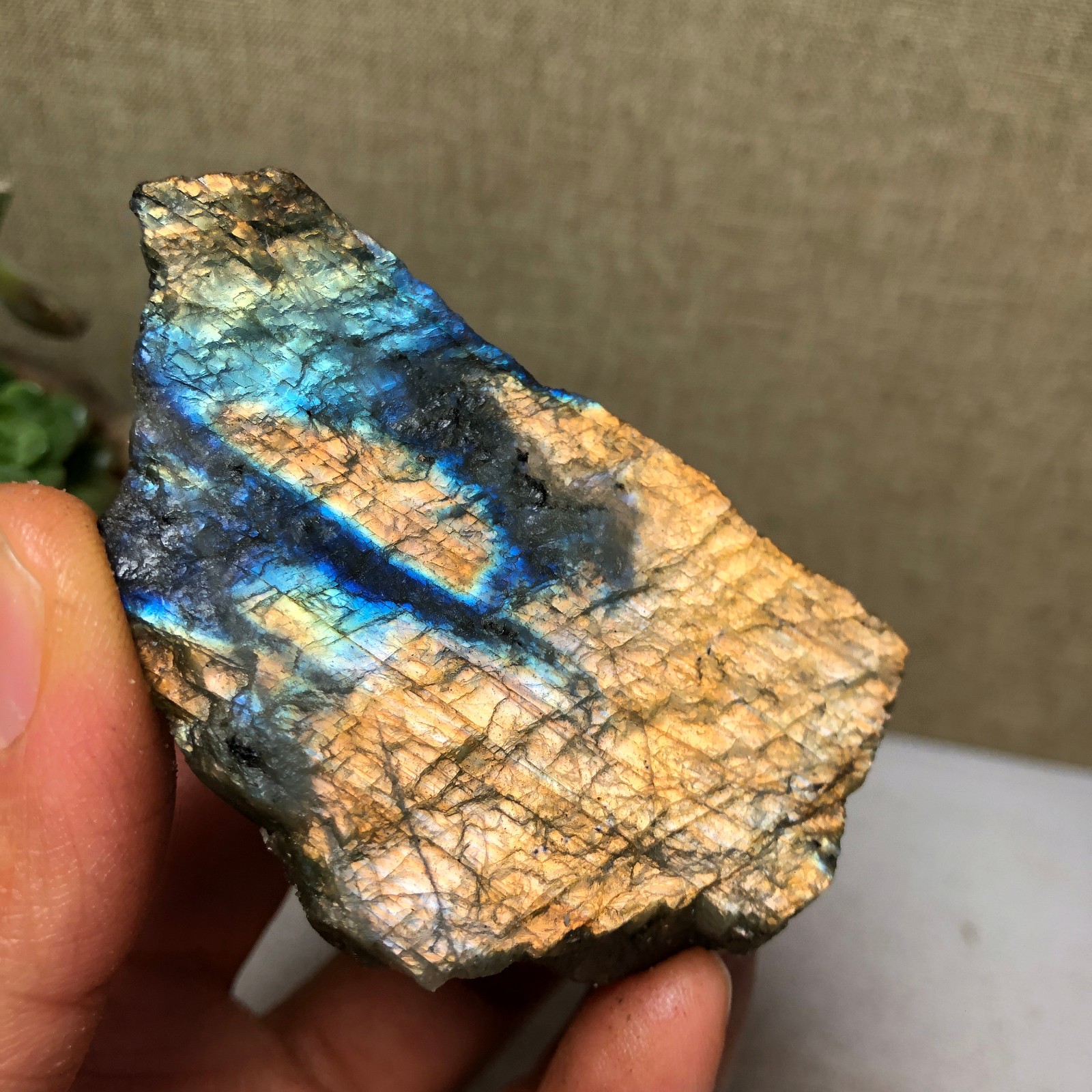 58mm Natural Labradorite Crystal gemstone rough original Specimen 95g A4219