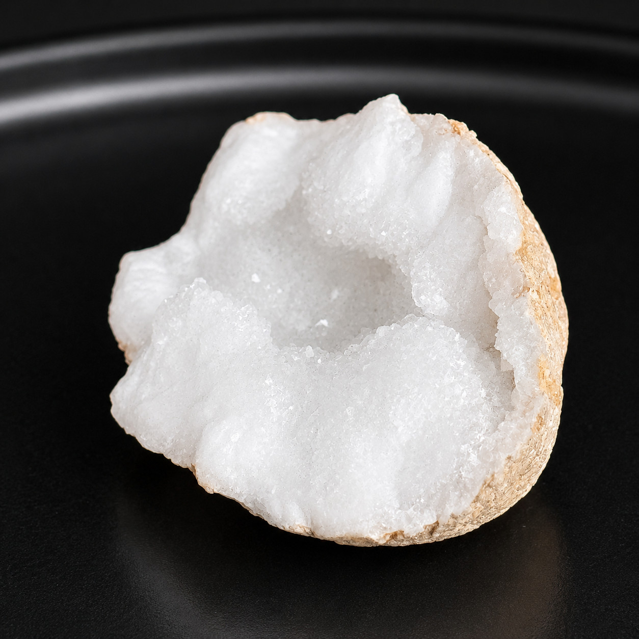 White Quartz Druzy Geode Half, Fossilized Coral Host Rock, Crystal Lined Cavity