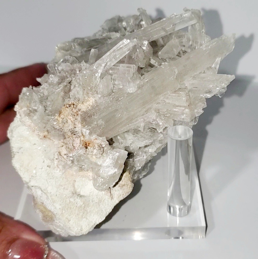 418g Hydroboracite with Gypsum Selenite Cluster