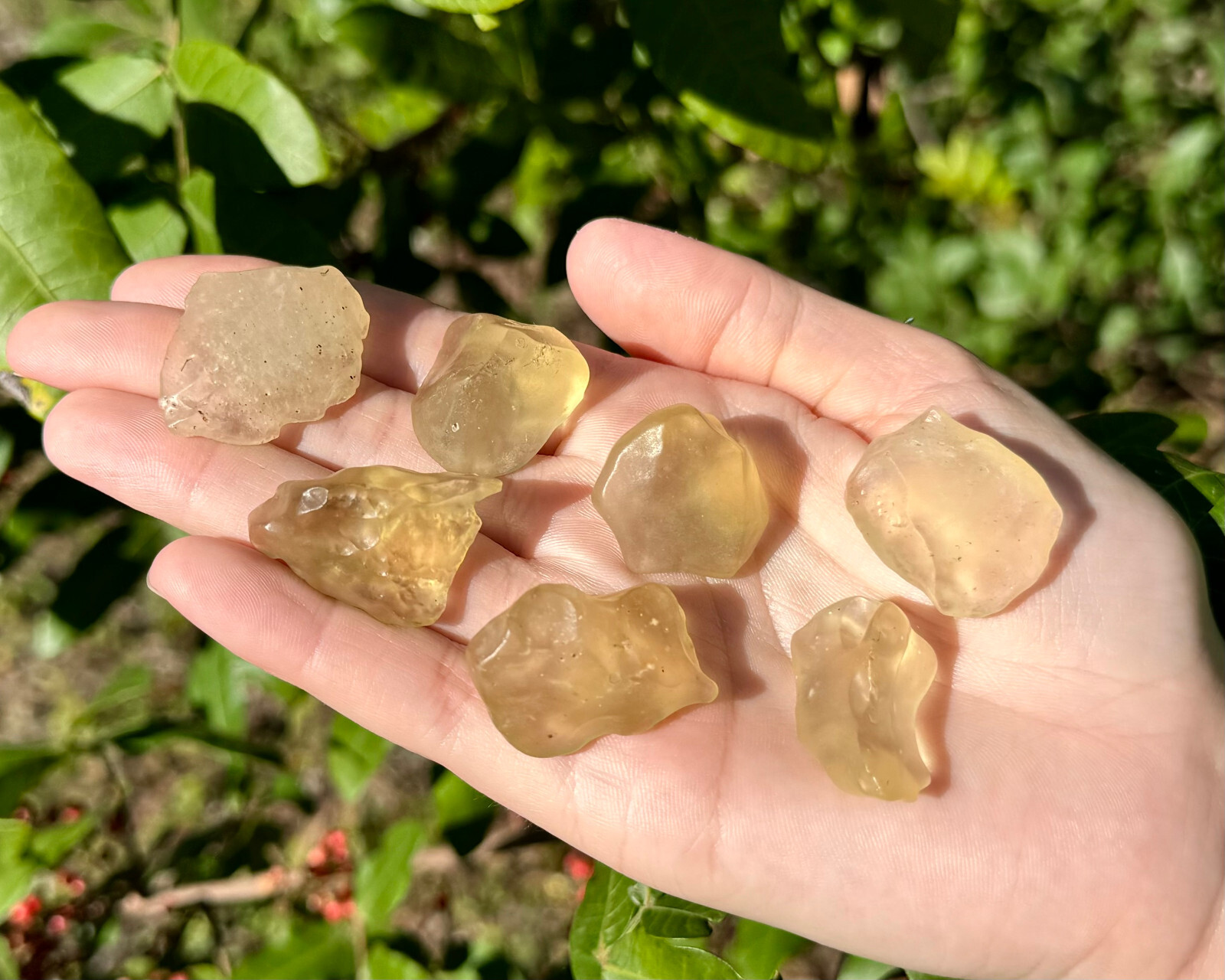 Natural Libyan Desert Glass – 100% Genuine Premium Quality Libyan Gold Tektite
