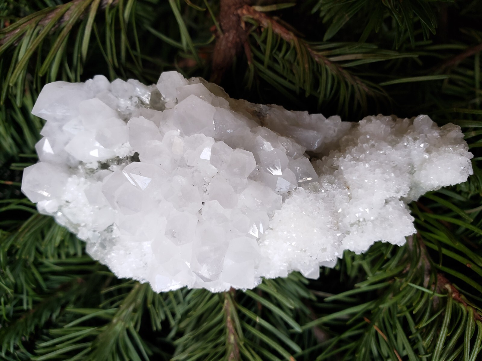 Natural White Quartz Crystal on Fluorite Cluster Specimen, 175g or 6.2oz