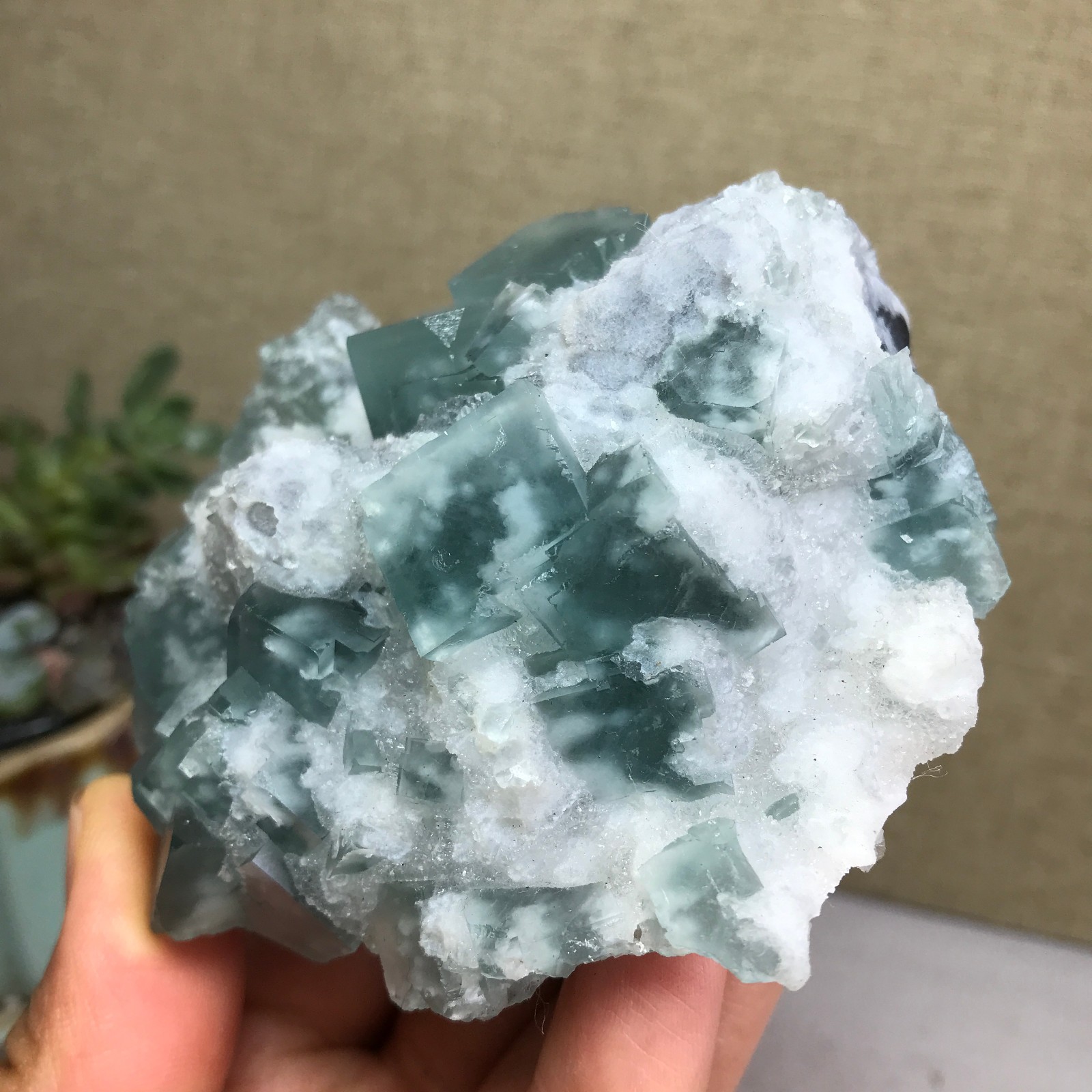 271g NATURAL Green Cubic FLUORITE paragenesis Crystal Cluster Specimen A4776