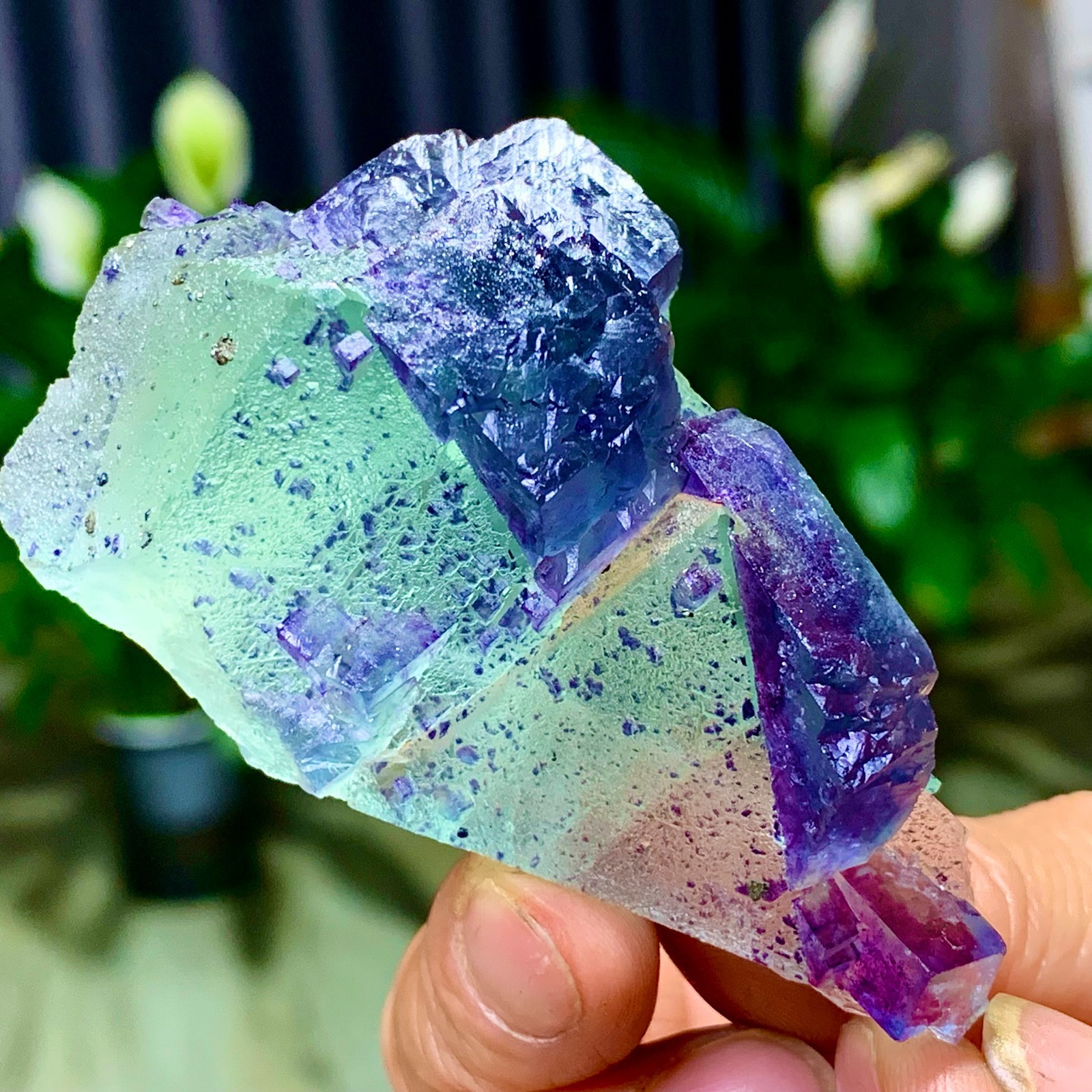 86G Rare transparent green purple cubic Zhejiang fluorite mineral sample