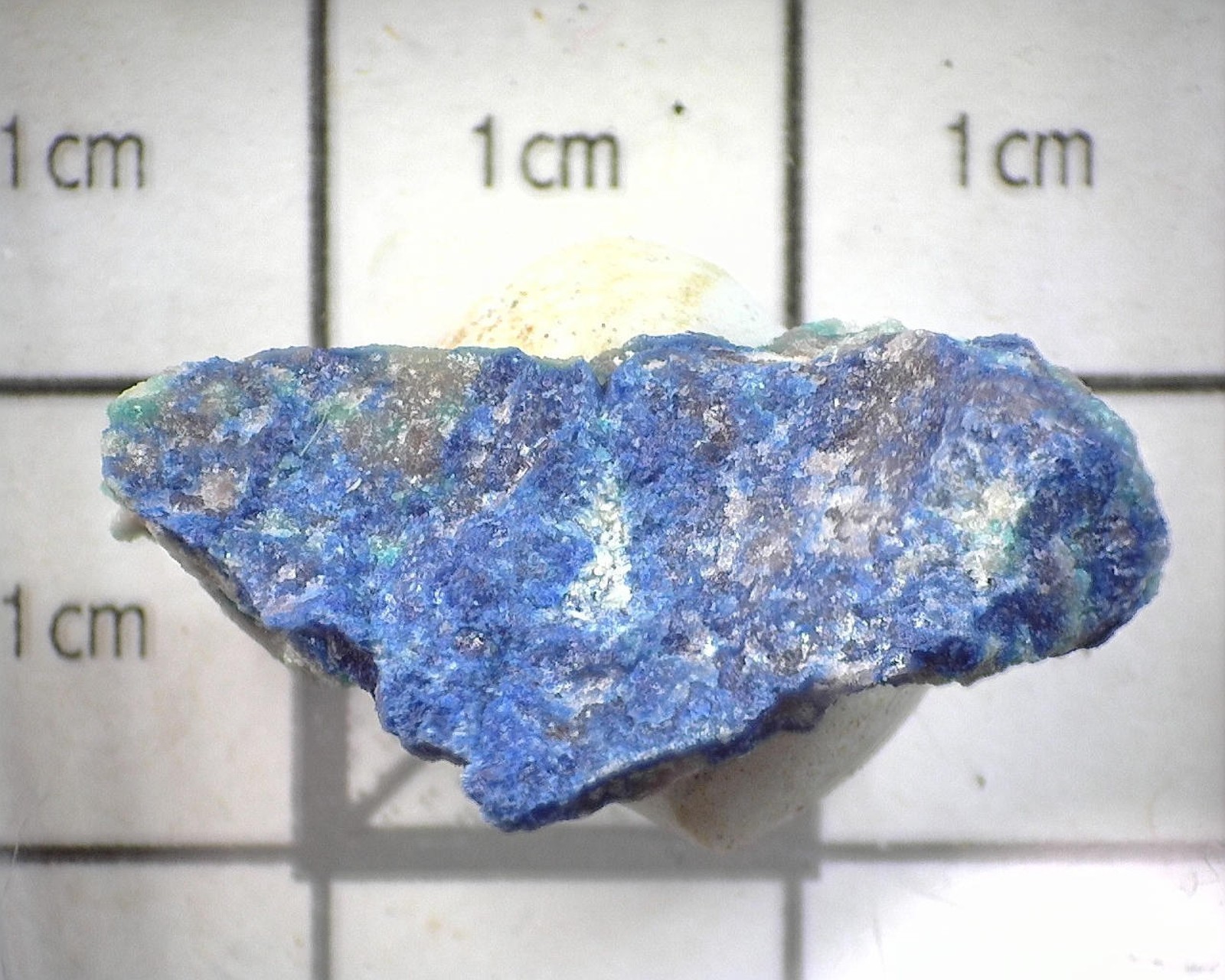 10551 MM Shattuckite Ajoite Papagoite New Cornelia Mine Pima County Arizona USA