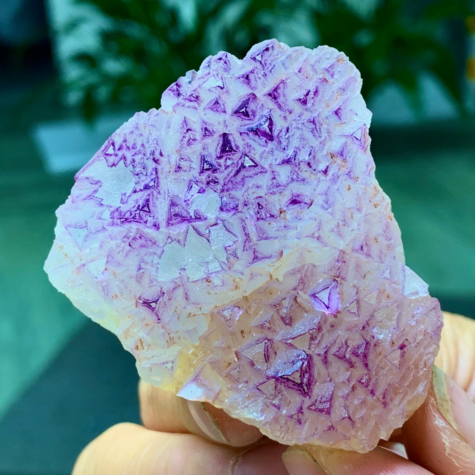 100G Natural fluorite purple edged cubic crystal mineral sample