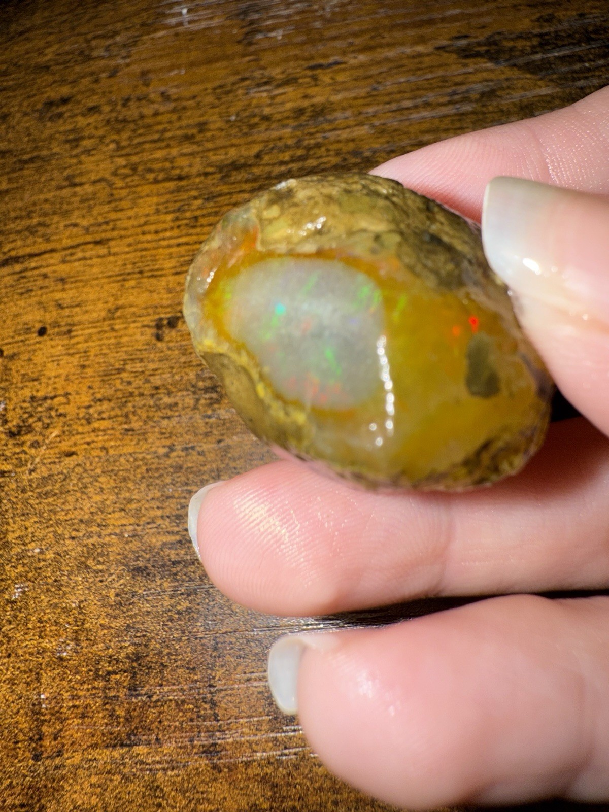 Rough Opal Specimen Nodule, Uncut Cabbing Rough w/ Multicolor Fire Play