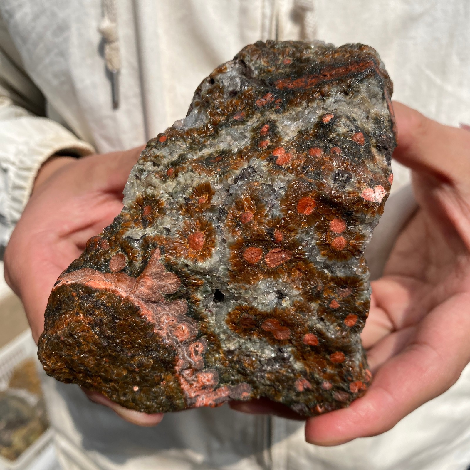 2lb Raw Natural colourful ocean jasper quartz crystal rough mineral specimen