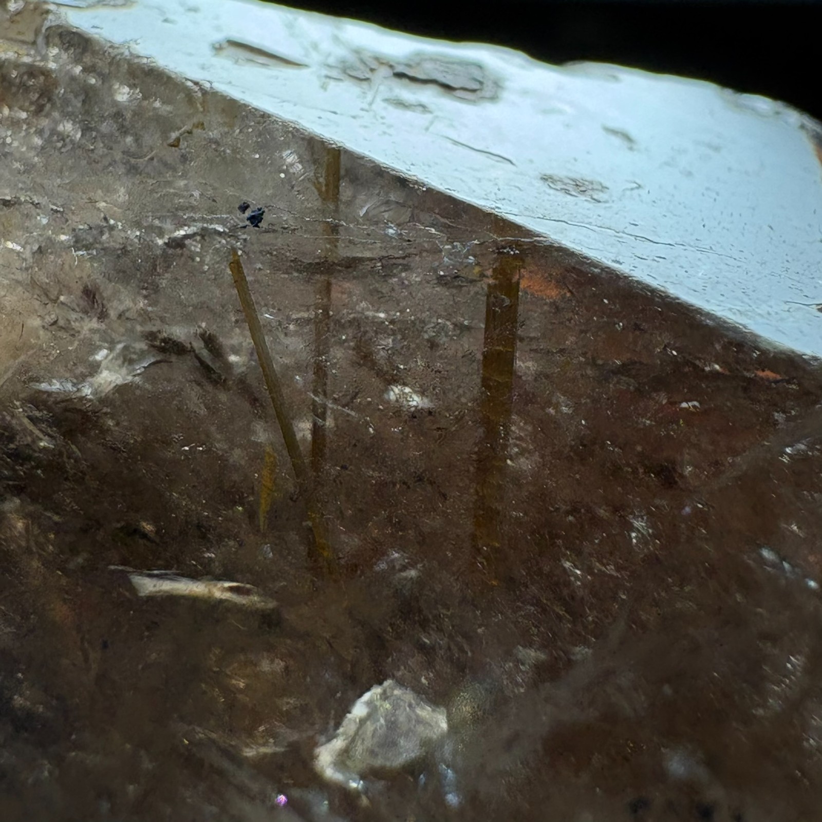 Natural Crystal Smoky Quartz with Golden Rutile Inclusion Meditation Healing 727