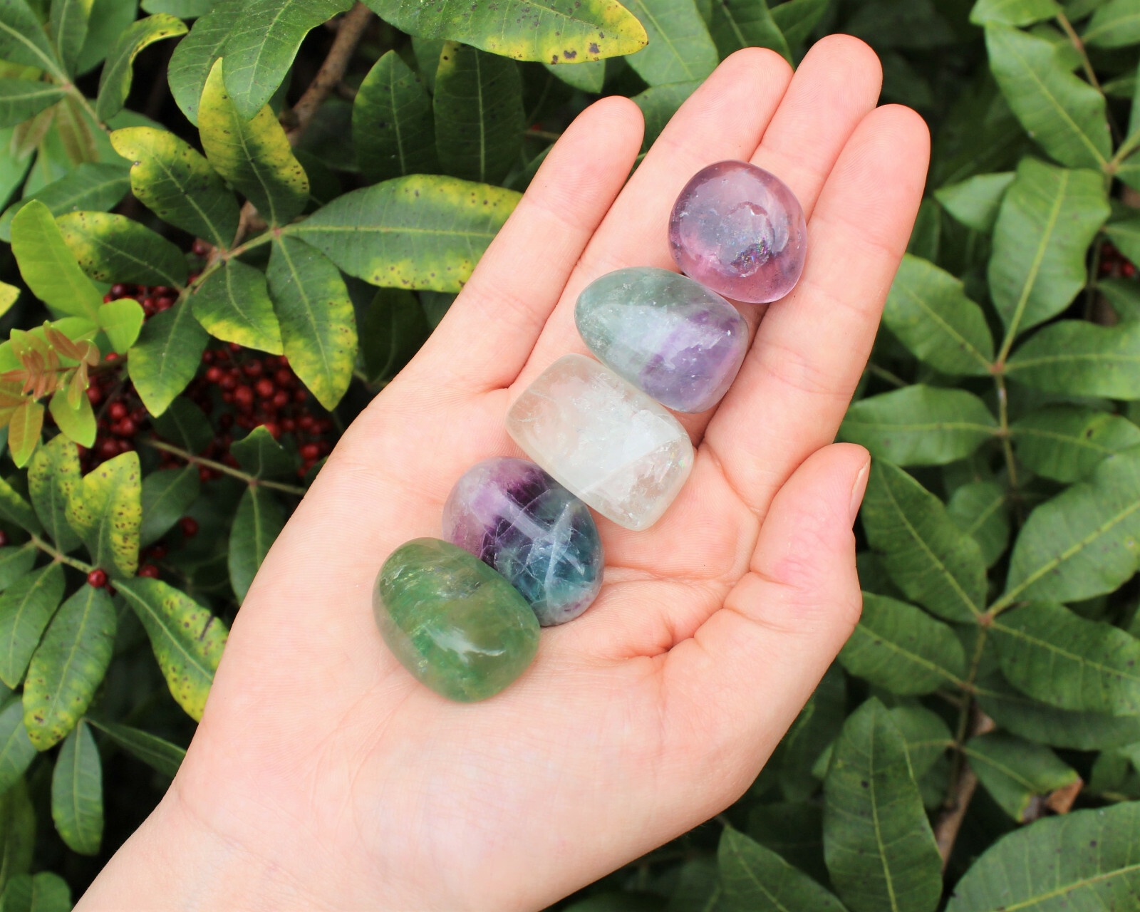 1/4 lb Bulk Lot Medium Fluorite Tumbled Stone Crystal Healing Gemstone 4 oz
