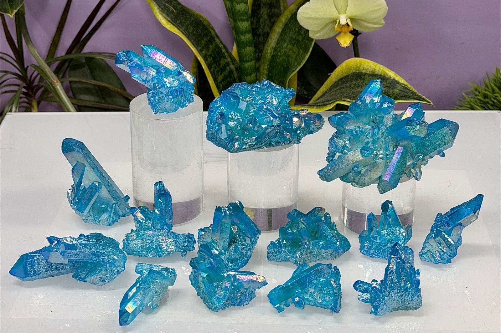 Wholesale 2 Lbs Aqua Aura Quartz Cluster Natural Crystal