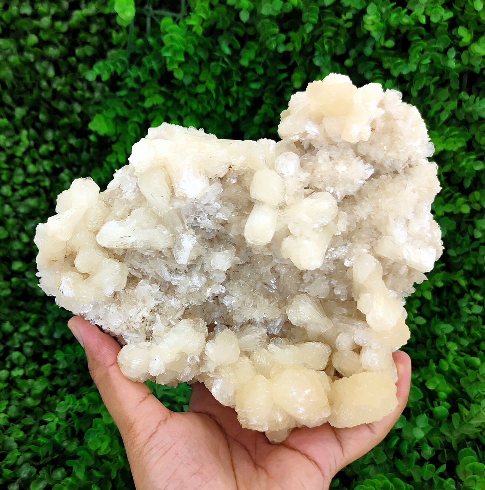 Big Natural Bow Tie Stilbite Cluster On Heulandite Minerals #51
