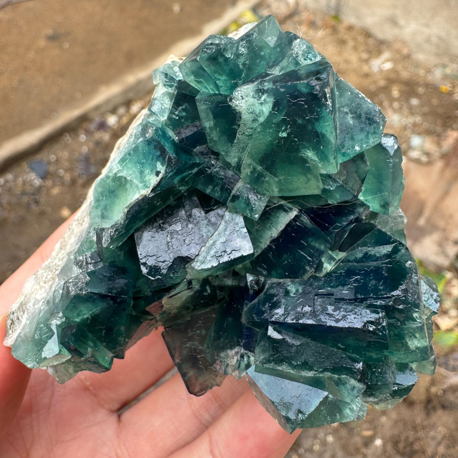 190G Natural cubic green fluorite crystal cluster rough mineral specimen Healing