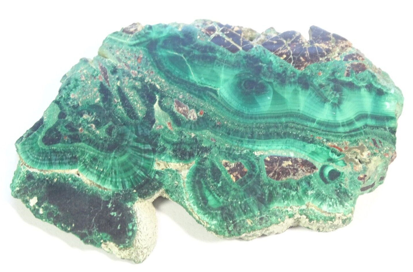 SUPERB POLISHED MALACHITE SLICE 6.5 x 4.0 cm 42.73 gm electromagnetic filter