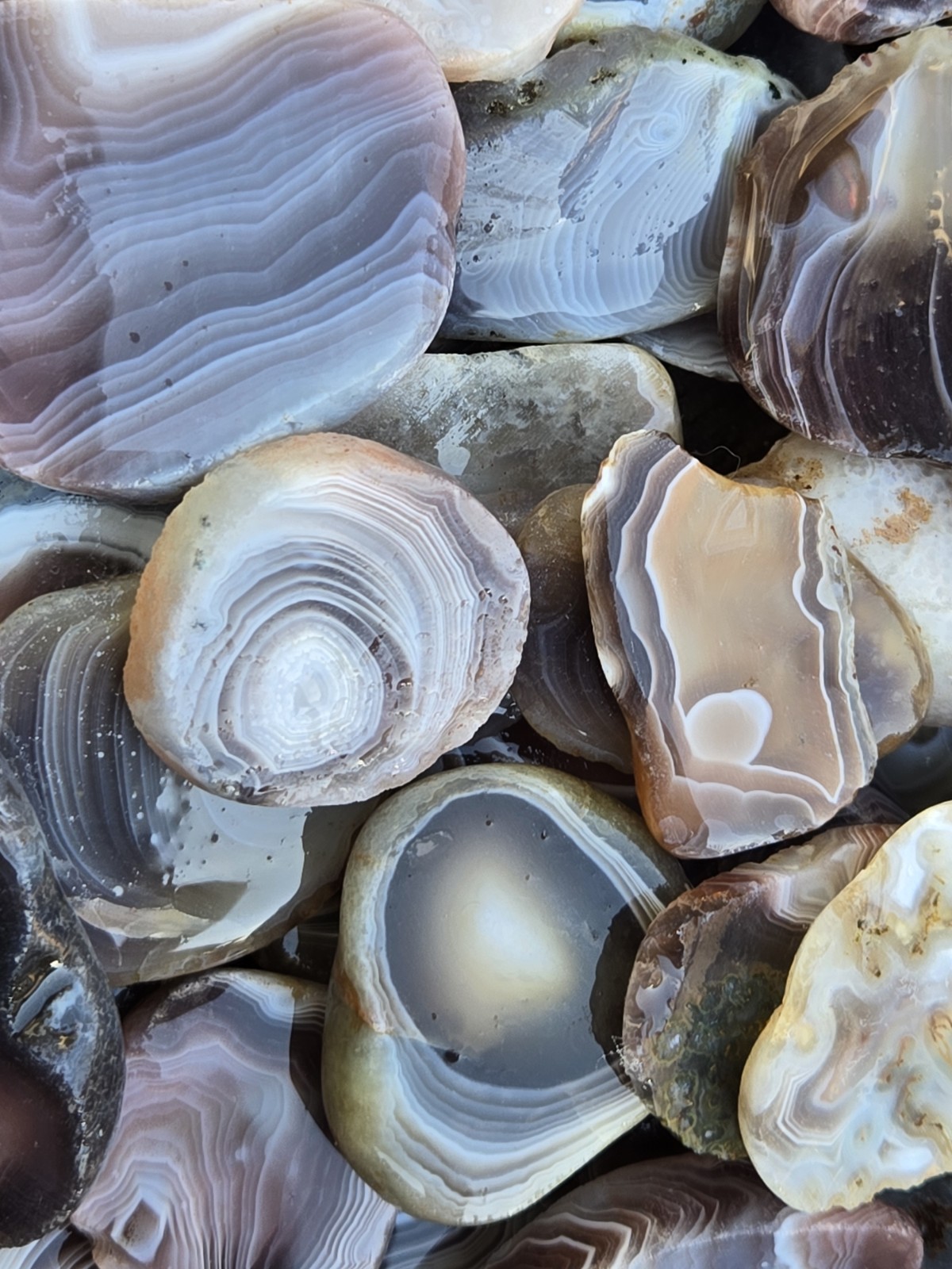 Botswana Agate rough 1-2″ A+ pound lbs tumbling lapidary banding wholesale bulk