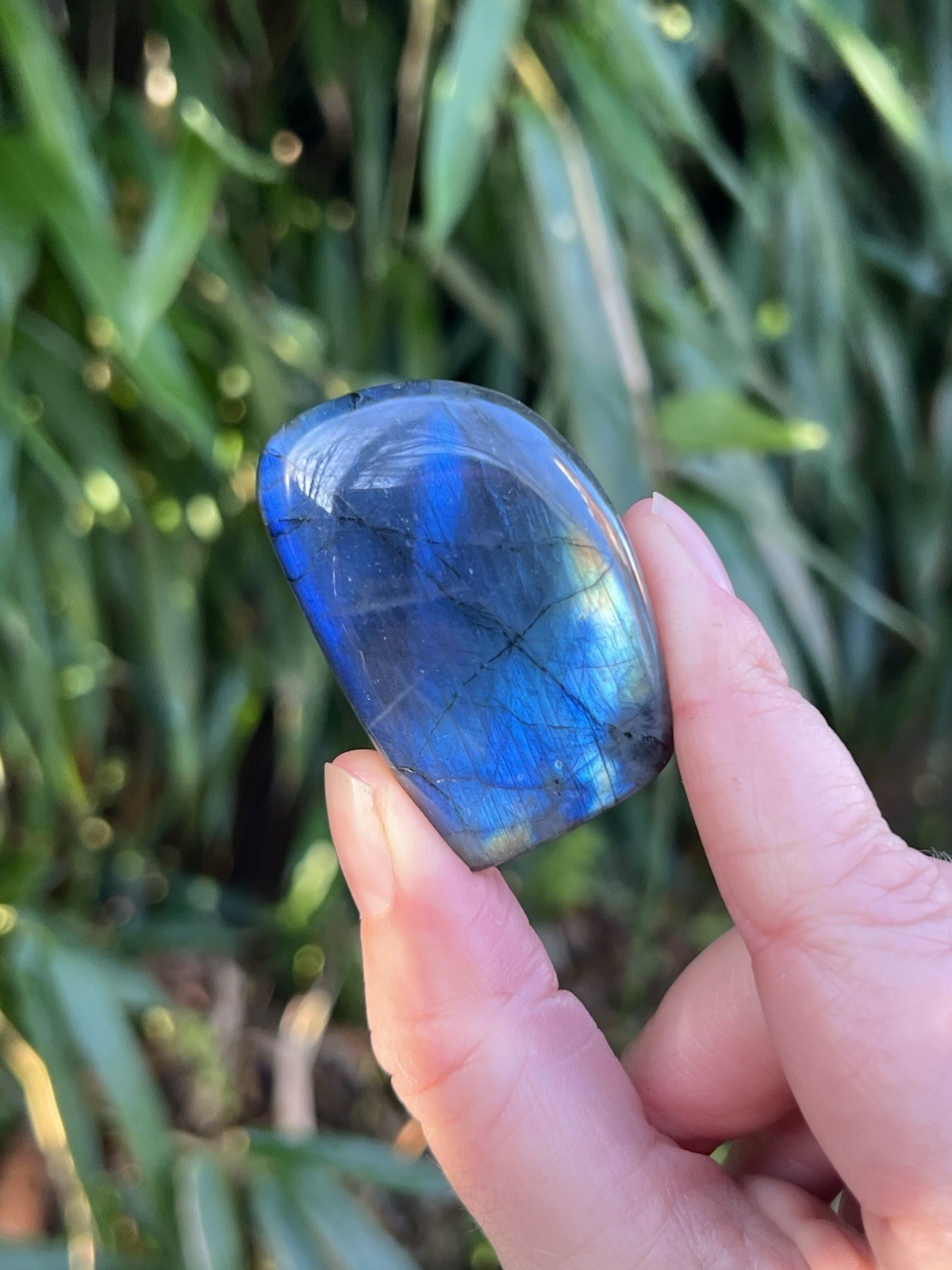 Deep Blue Labradorite Freeform Iridescent Crystal AAA+ 25