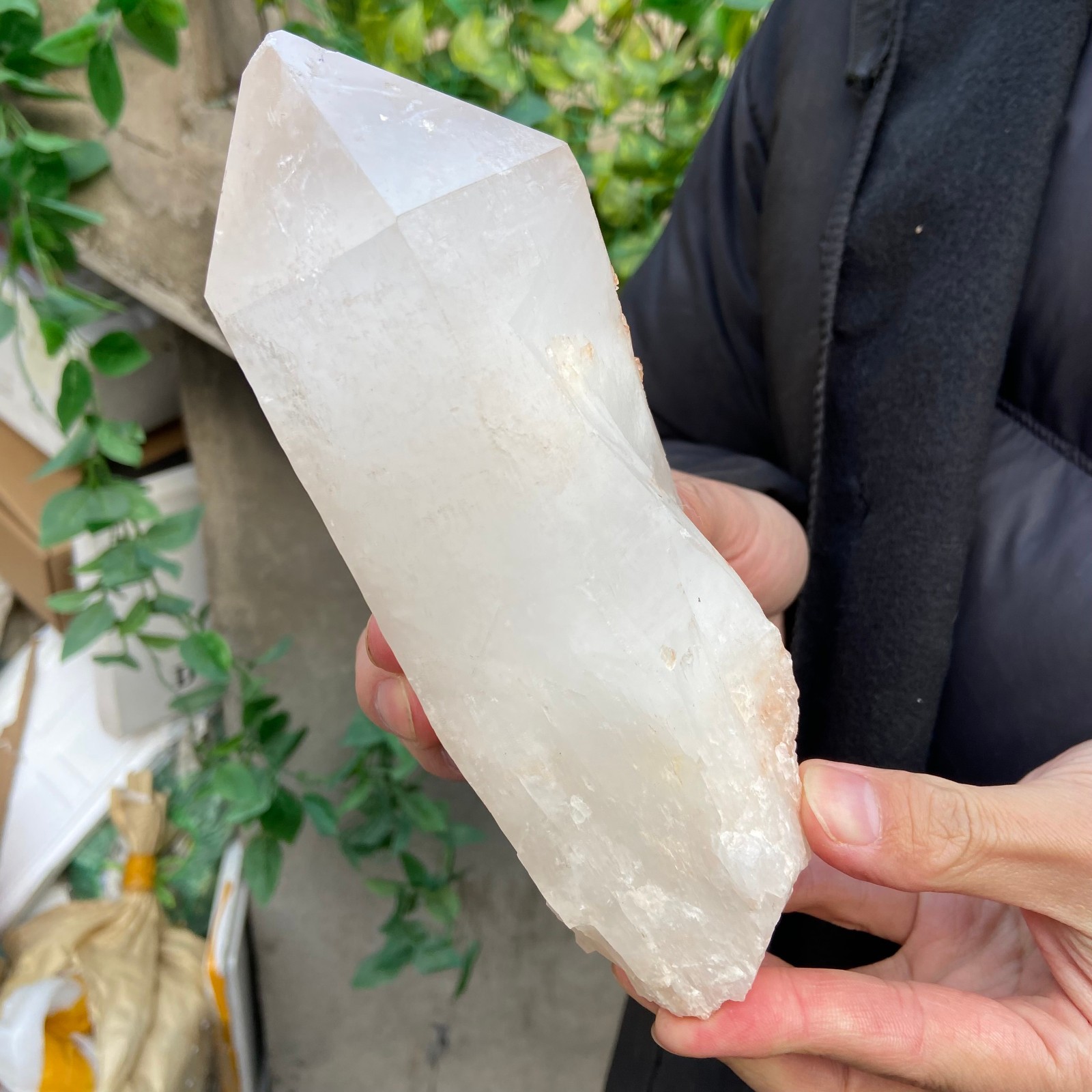 2.9lb Natural Clear White Quartz Crystal point Rough Healing Specimen