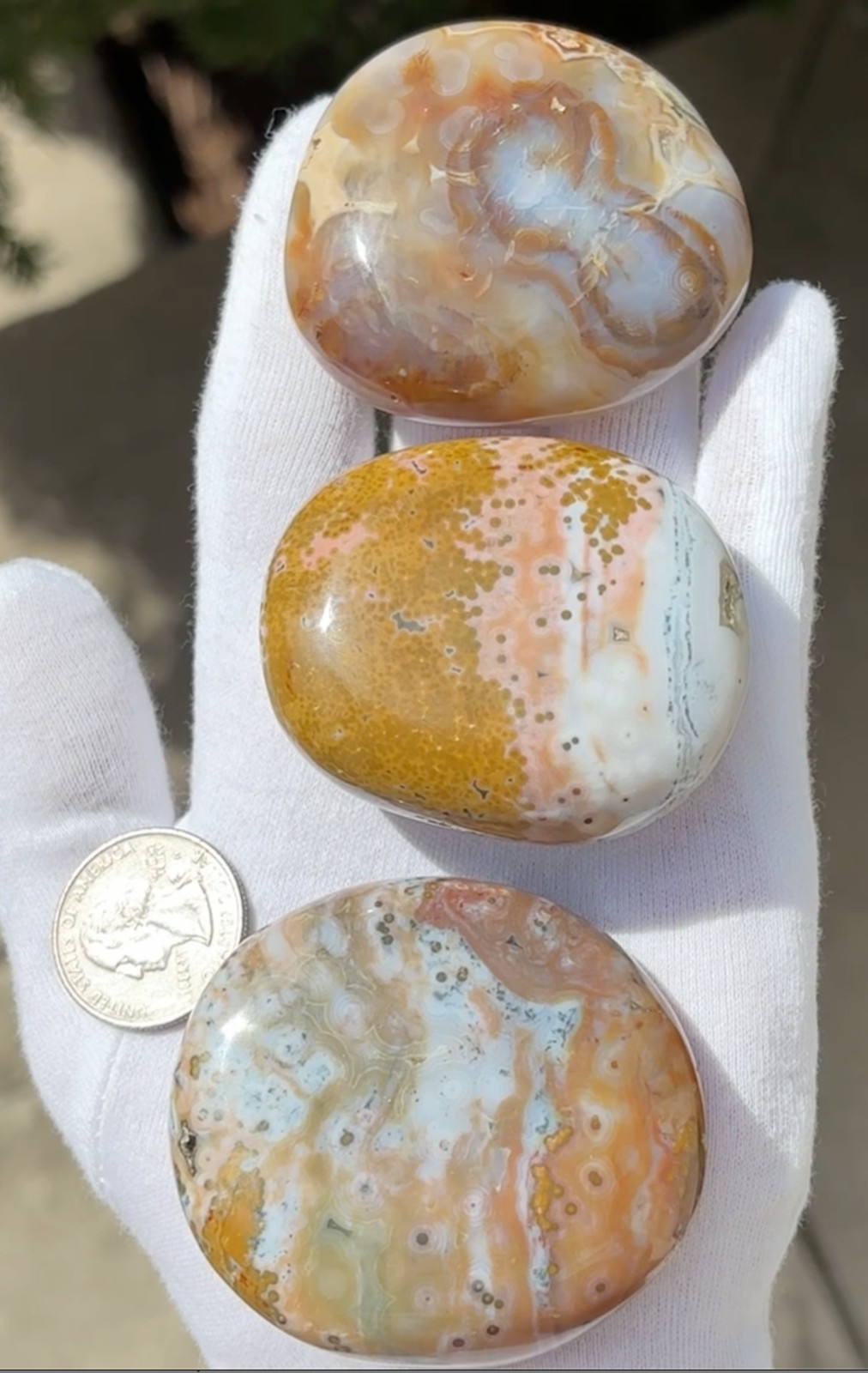 US SALE 297g LOT 3 OCEAN JASPER with 8th VEIN 8 OJ PALM STONES PALM STONE STONES